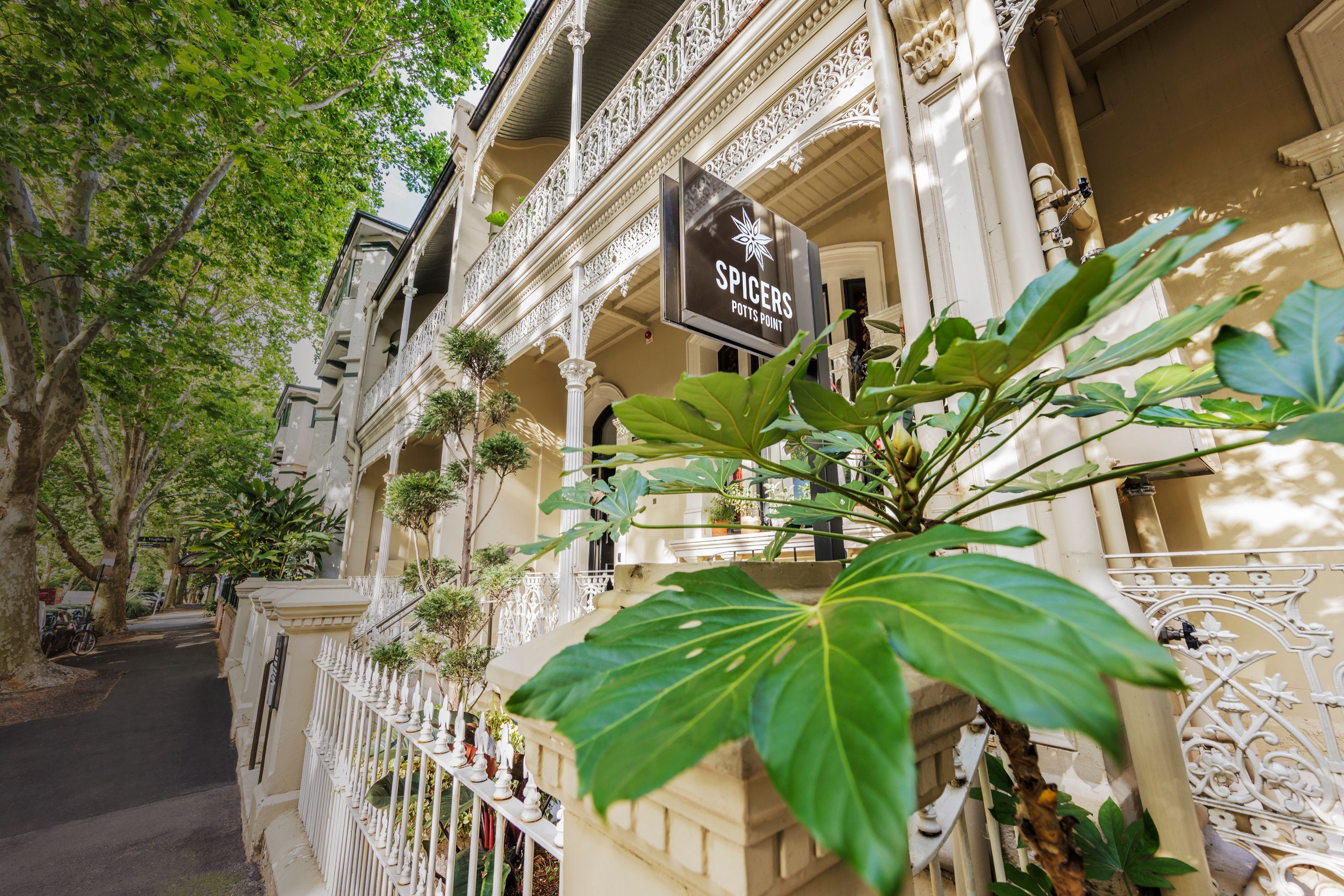 Welcome to Spicers Potts Point