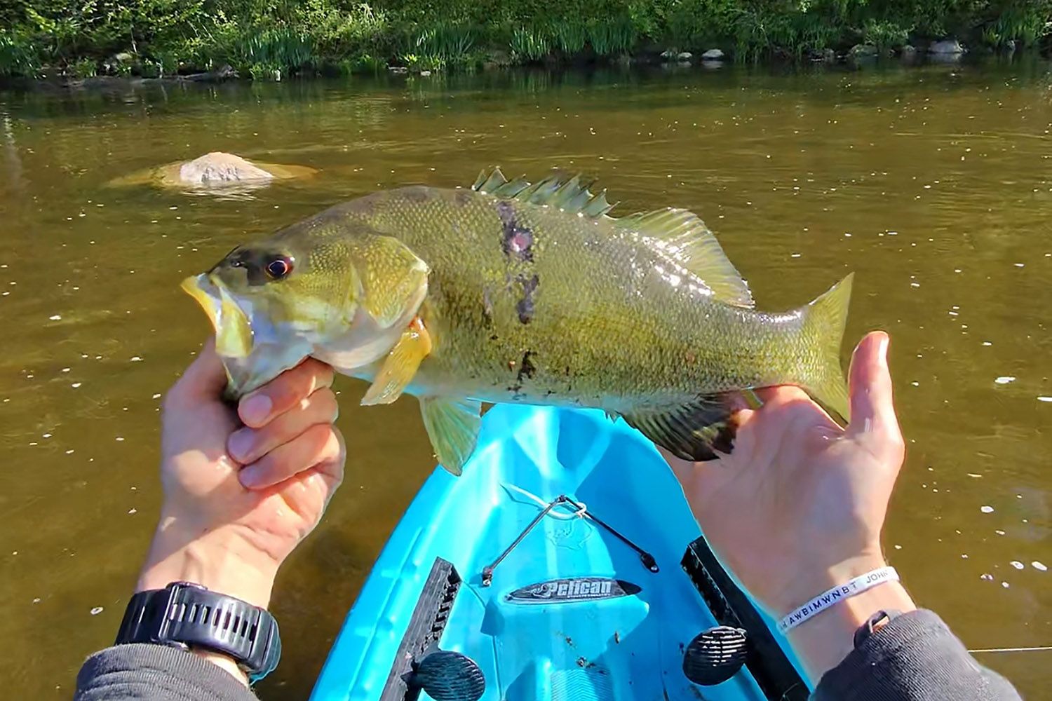Why Calvin and Hobbes Would Have Loved Kayak Fishing | Michigan Enjoyer
