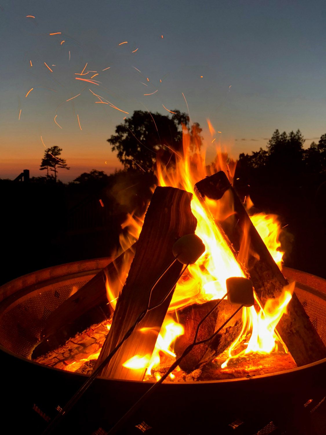 Bonfires | Michigan Enjoyer