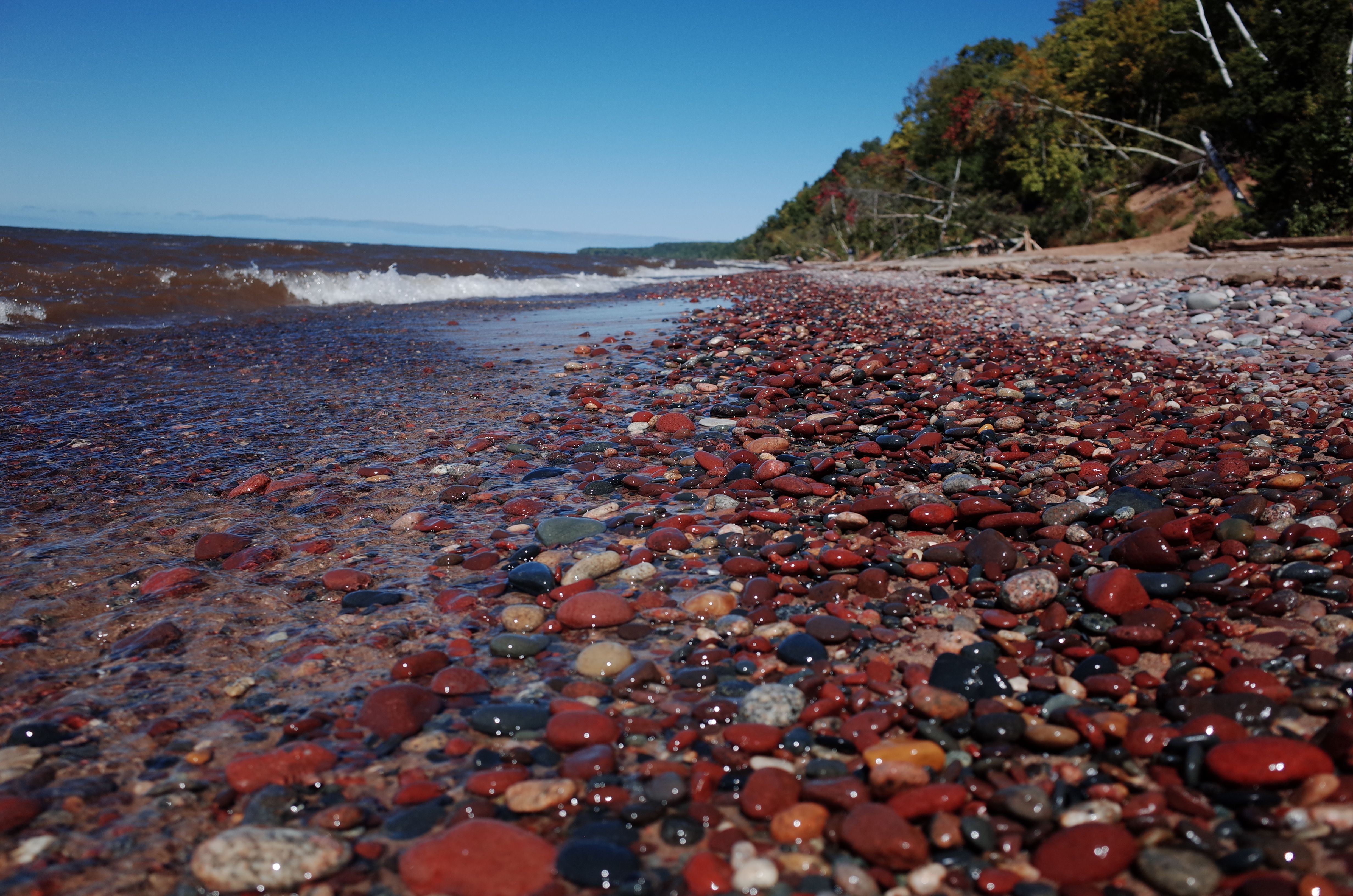 Michigan Is a Rock Finder's Paradise | Michigan Enjoyer