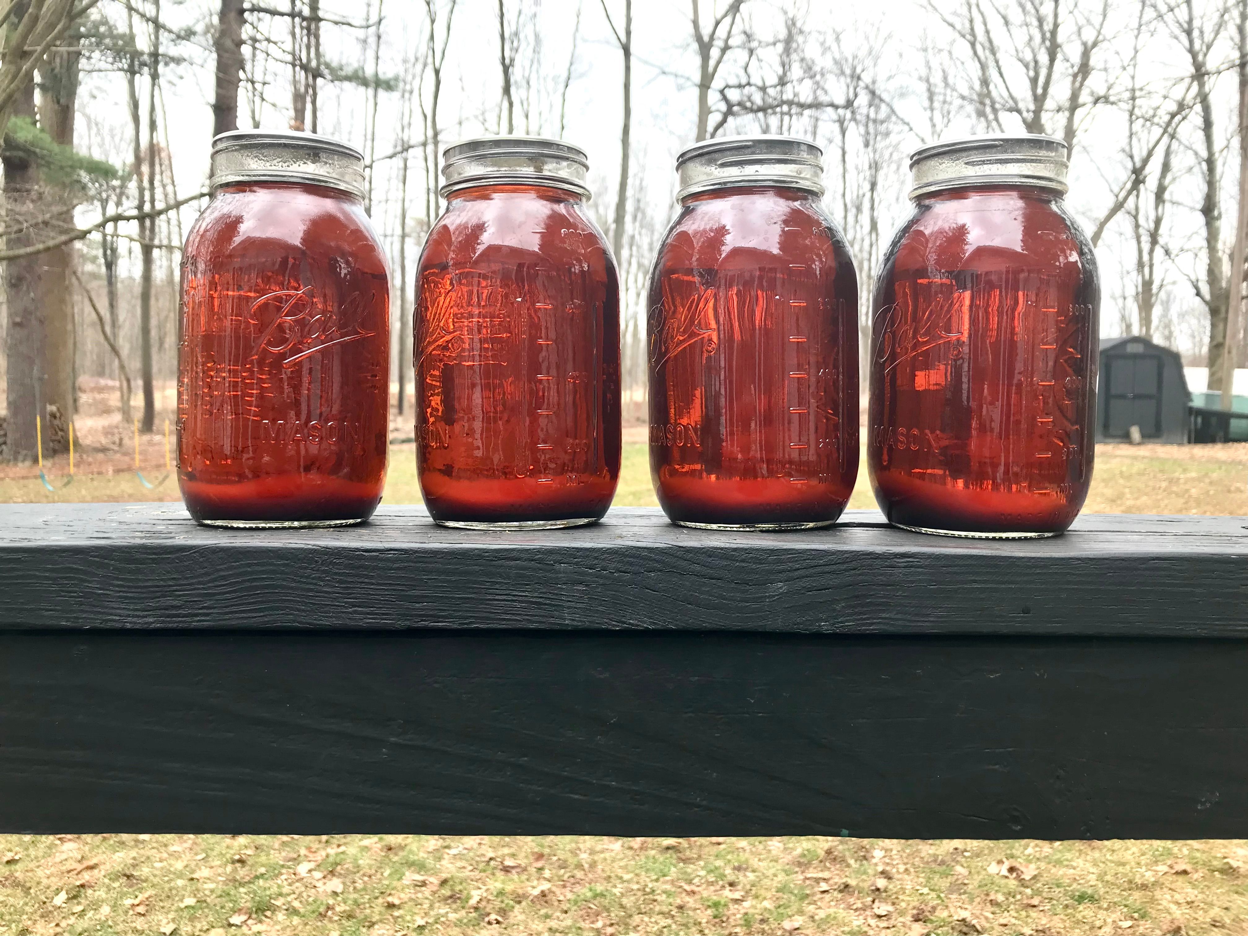 You Can Make Maple Syrup in Your Backyard | Michigan Enjoyer