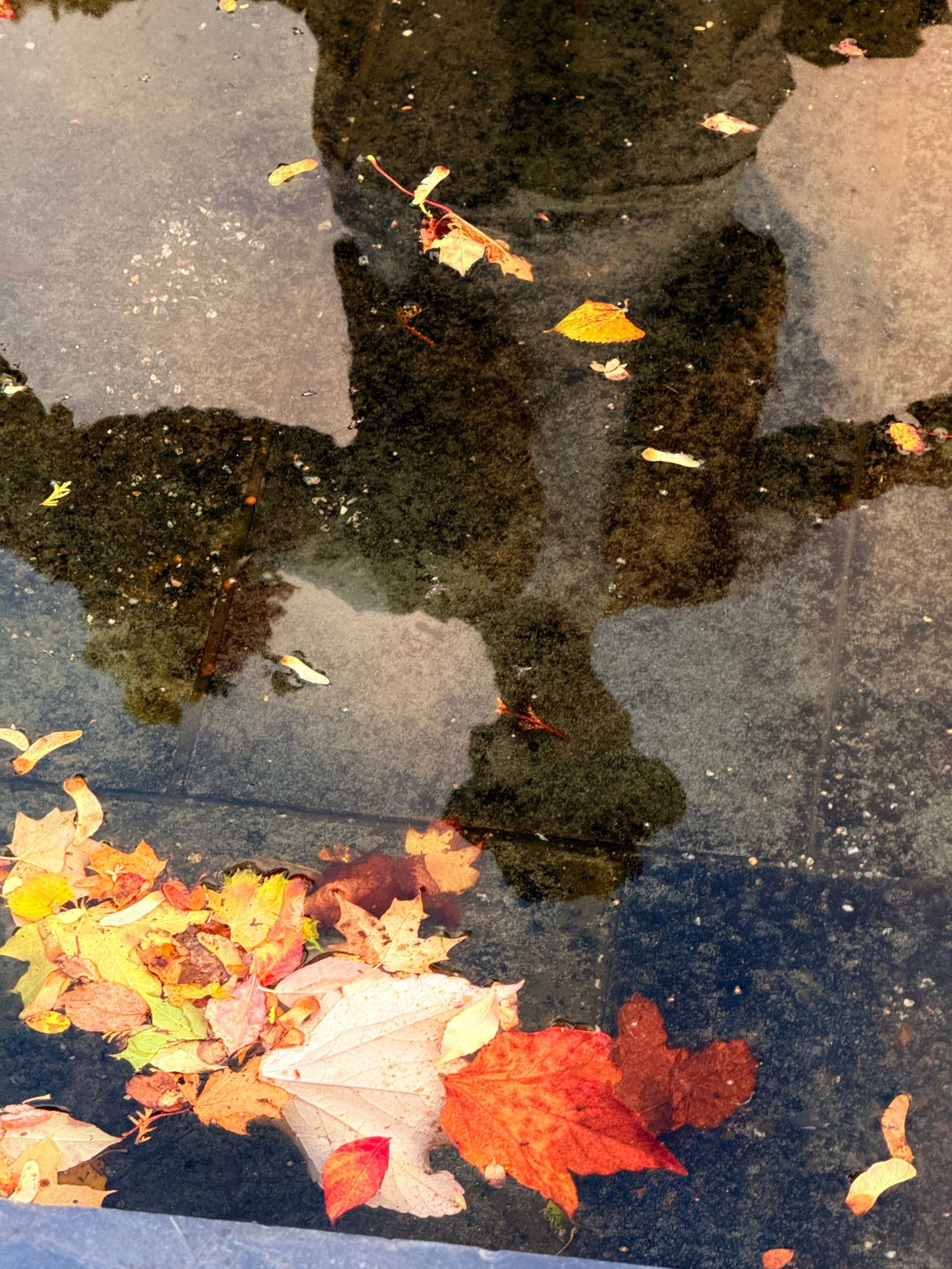 30x40 IMG 3263