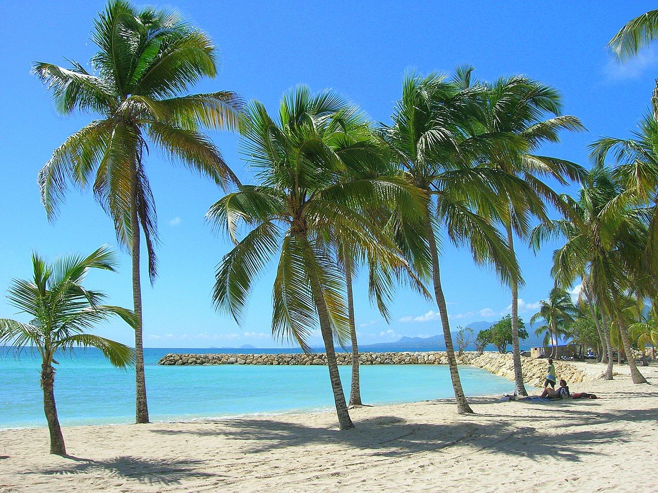 voyage couple caraibes