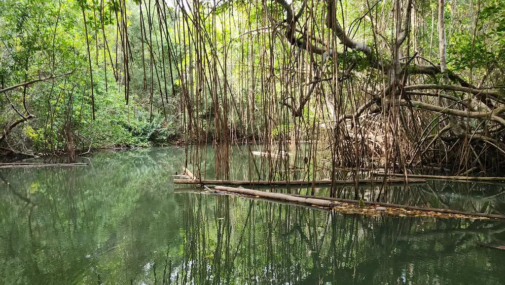 Lamentin en Guadeloupe