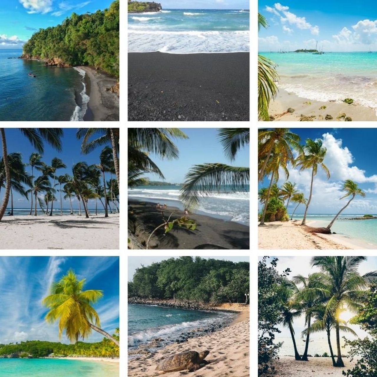 Plages en guadeloupe sable blanc sable noir