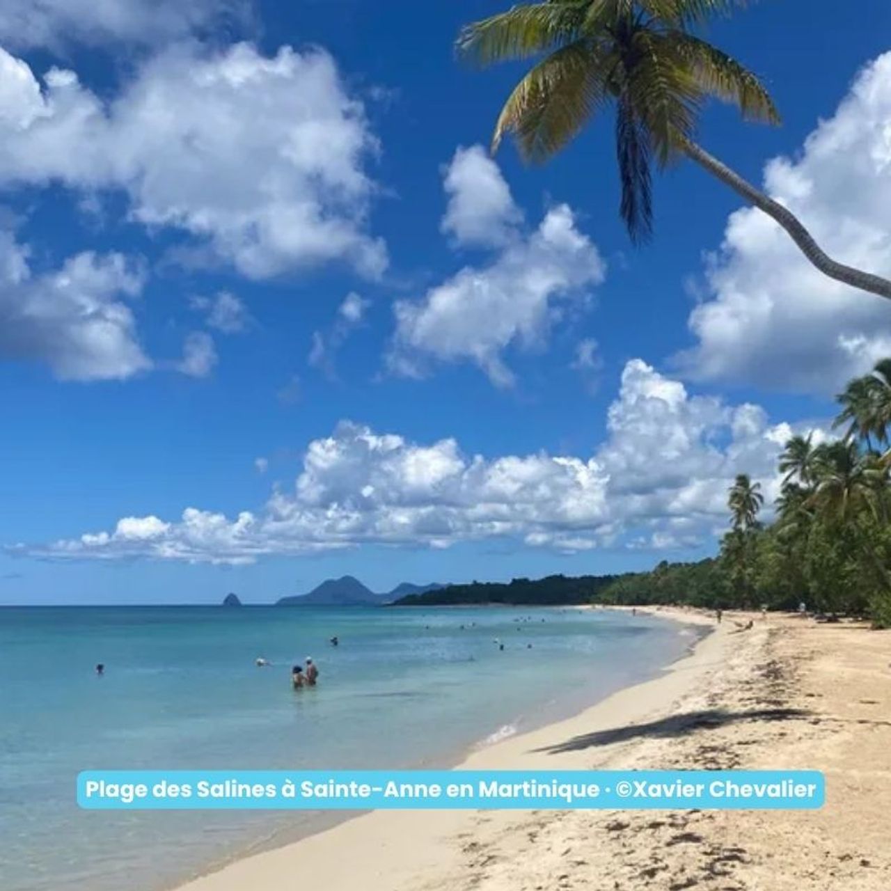 Plages de Martinique dont la plage des Salines