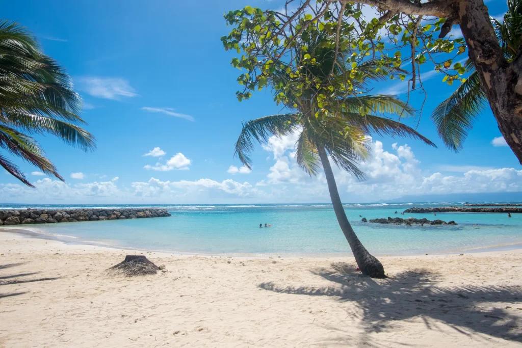 Sainte-Anne en Guadeloupe