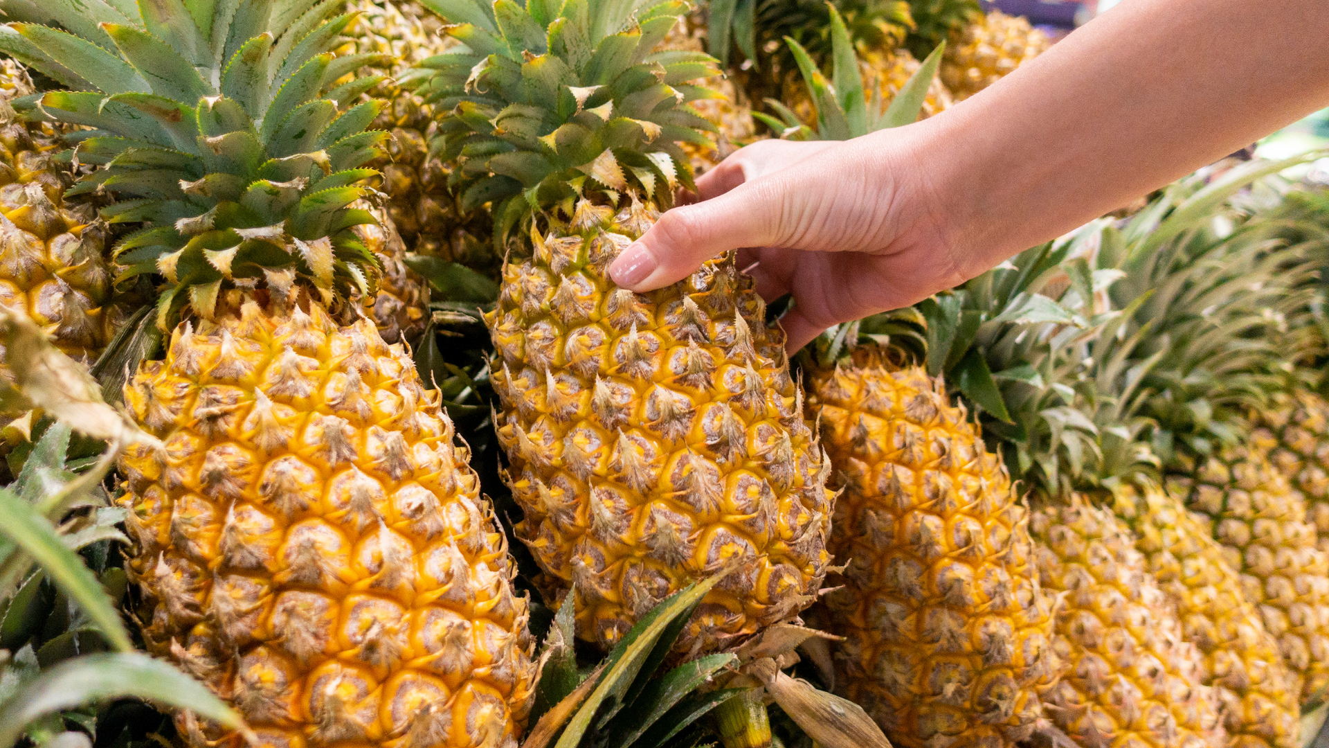 Où faire ses courses dans le nord de Basse-Terre ? Deshaies, Sainte-Rose et Lamentin
