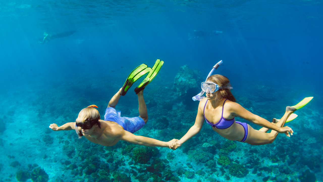 Snorkeling sur les récifs coralliens de Guadeloupe