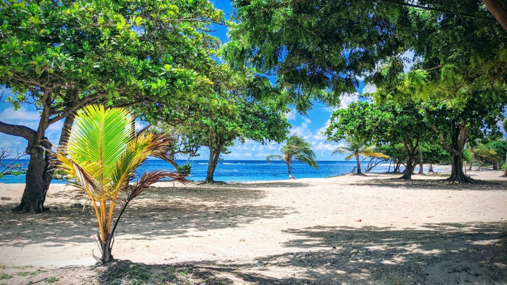 Raisins Clairs beach in Saint-François, Guadeloupe