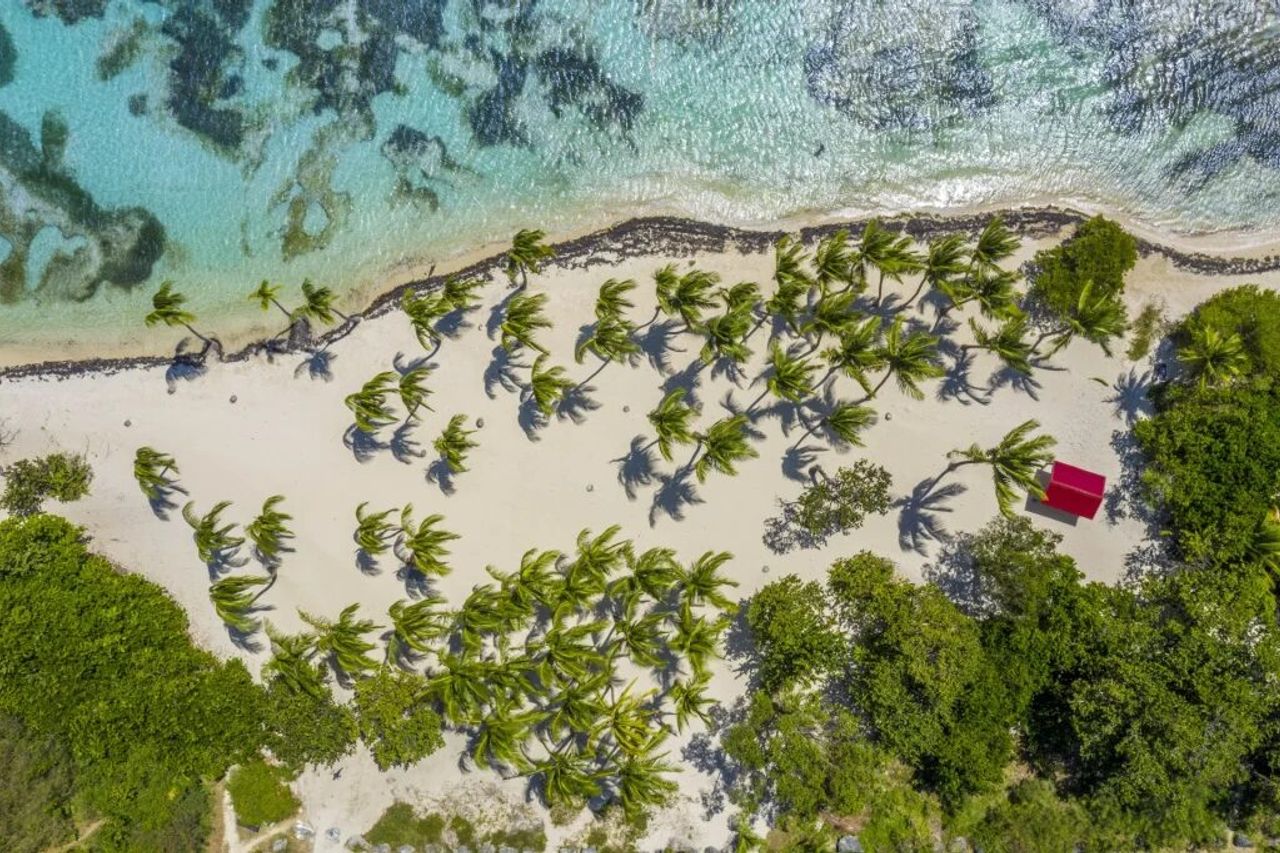 quand aller à la plage de bois jolan
