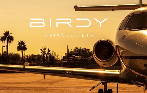 birdy private jet caraibes