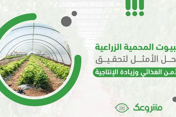 البيوت البلاستكية