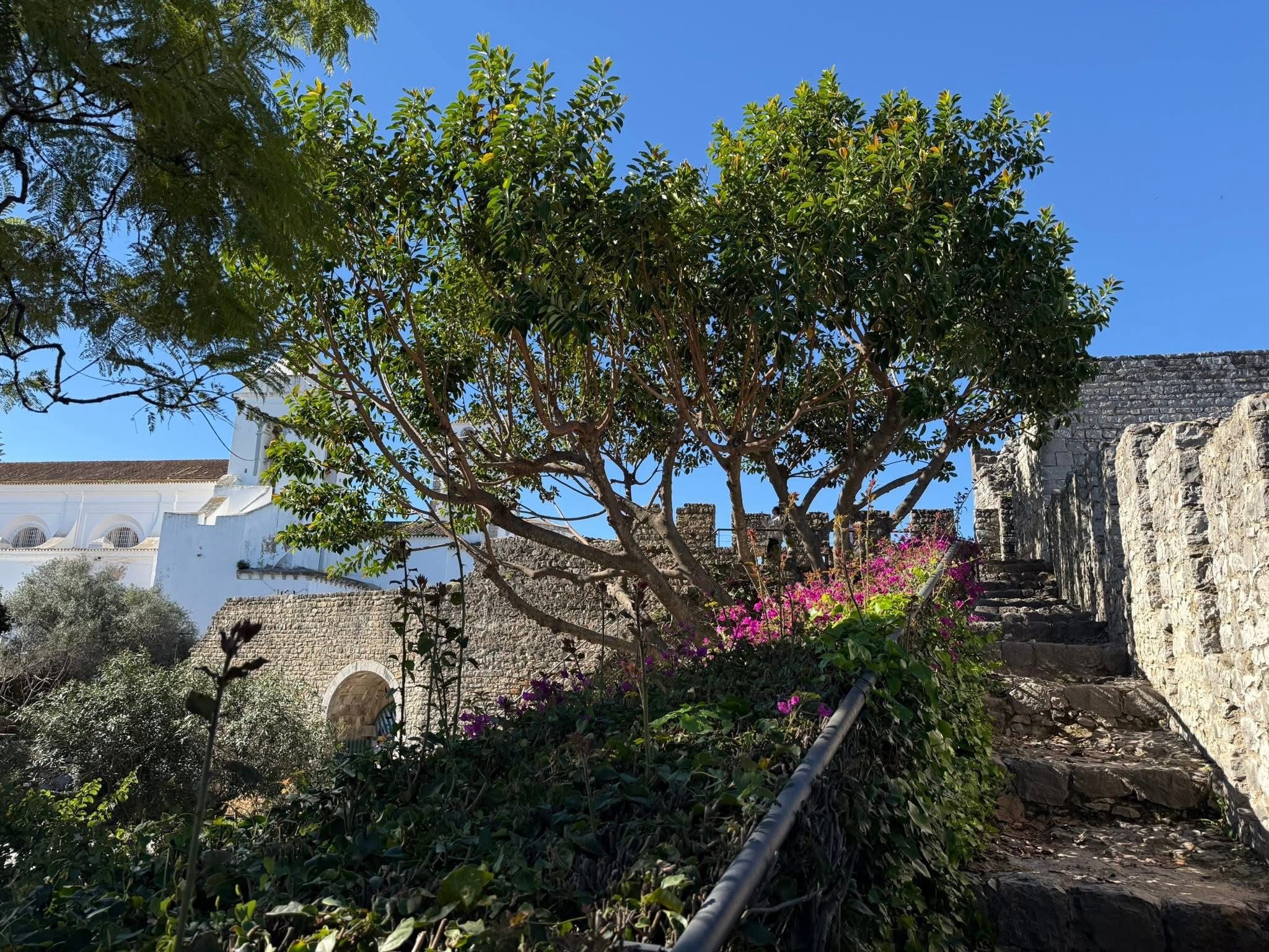 Tavira castle