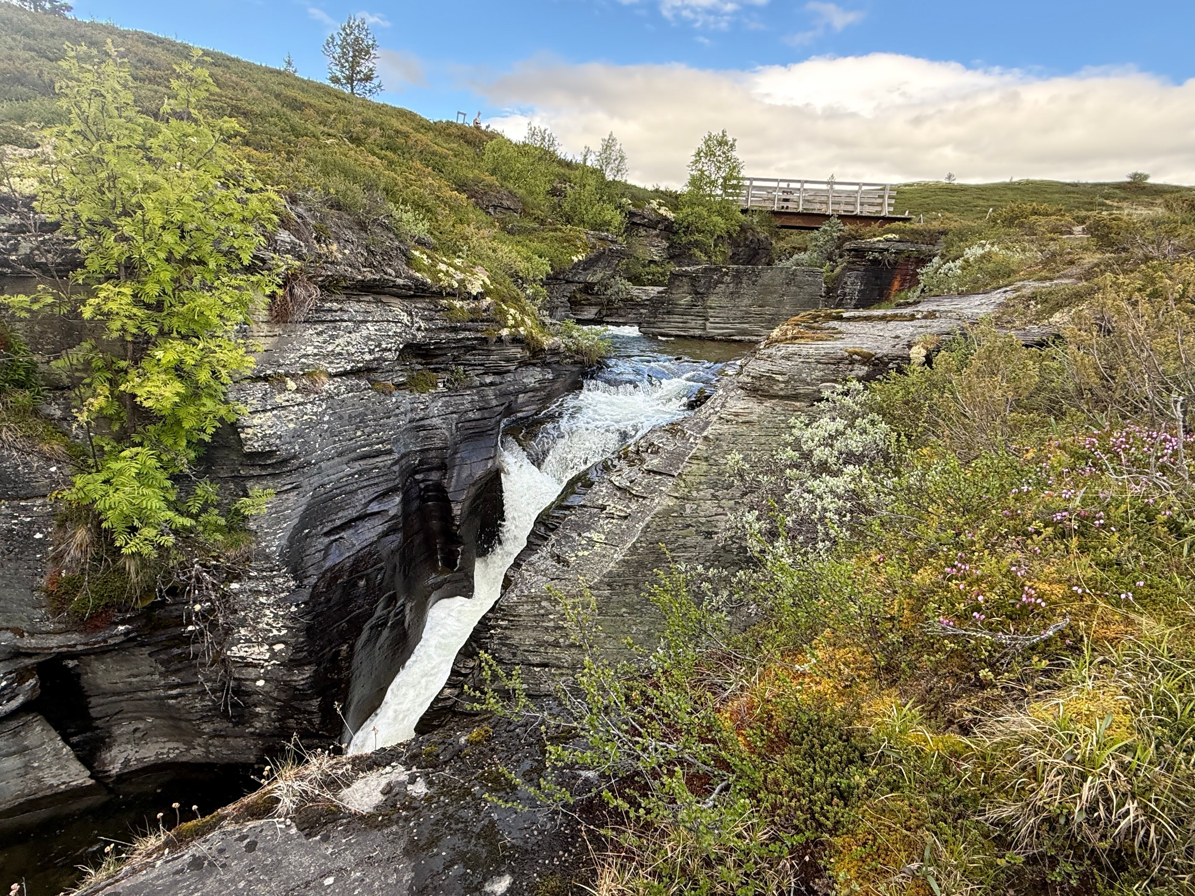 Høvringsåe