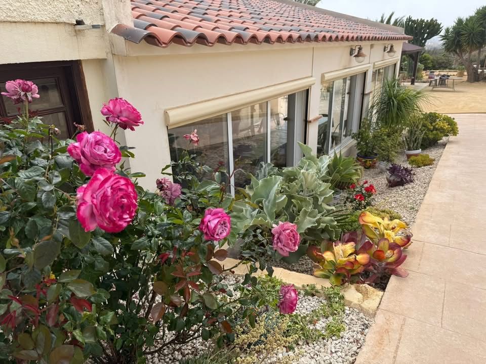 Flotte blomster på camp el Planet