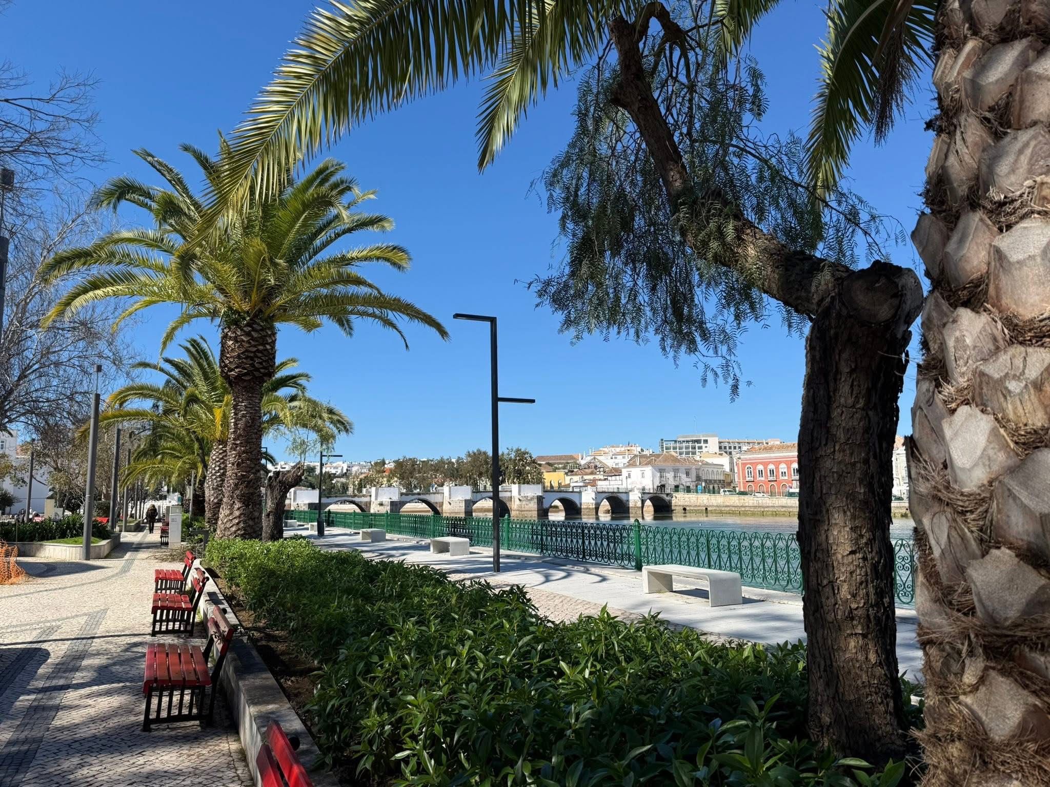 Tavira
