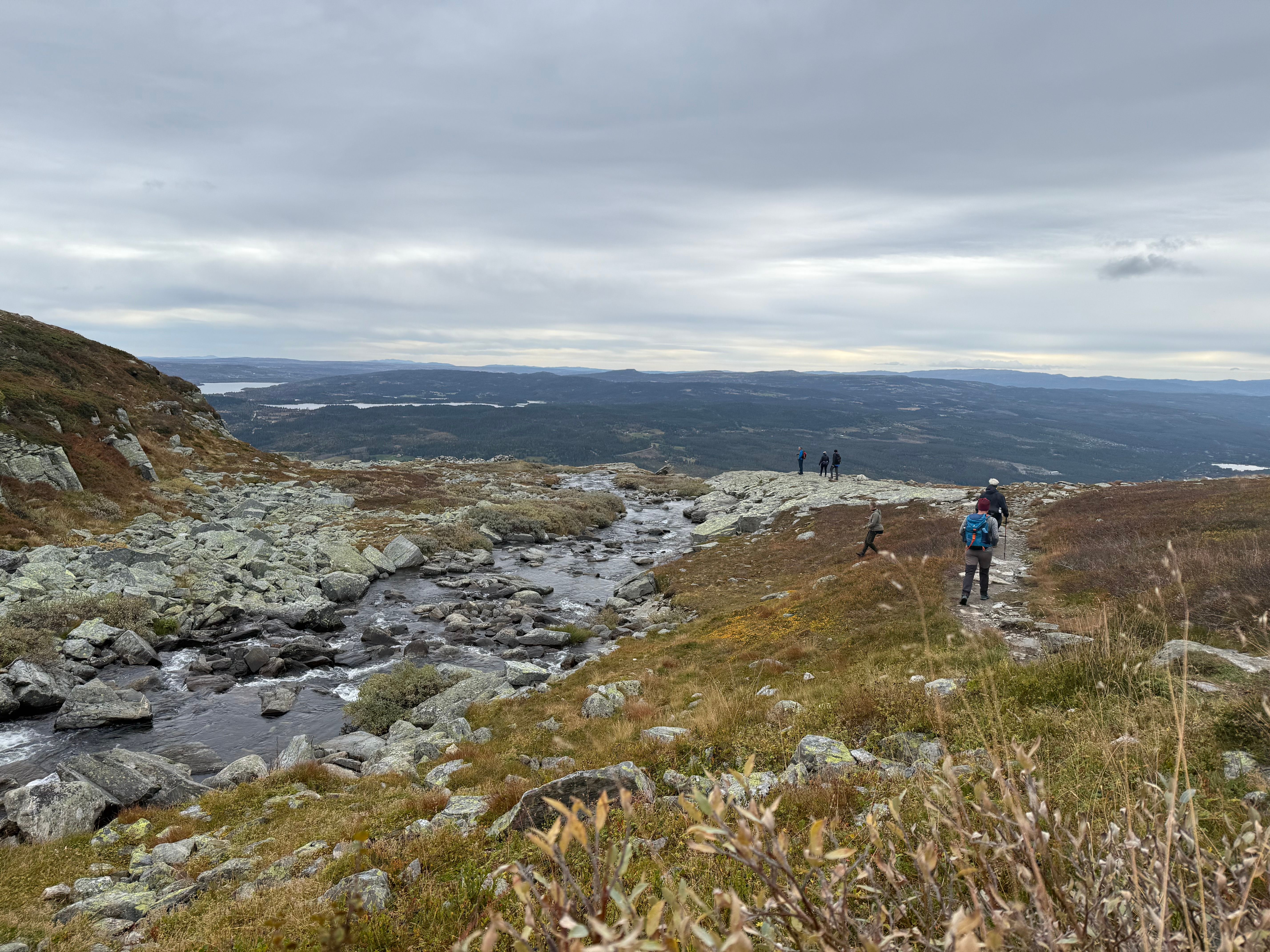 Helt nydelig på fjellet.