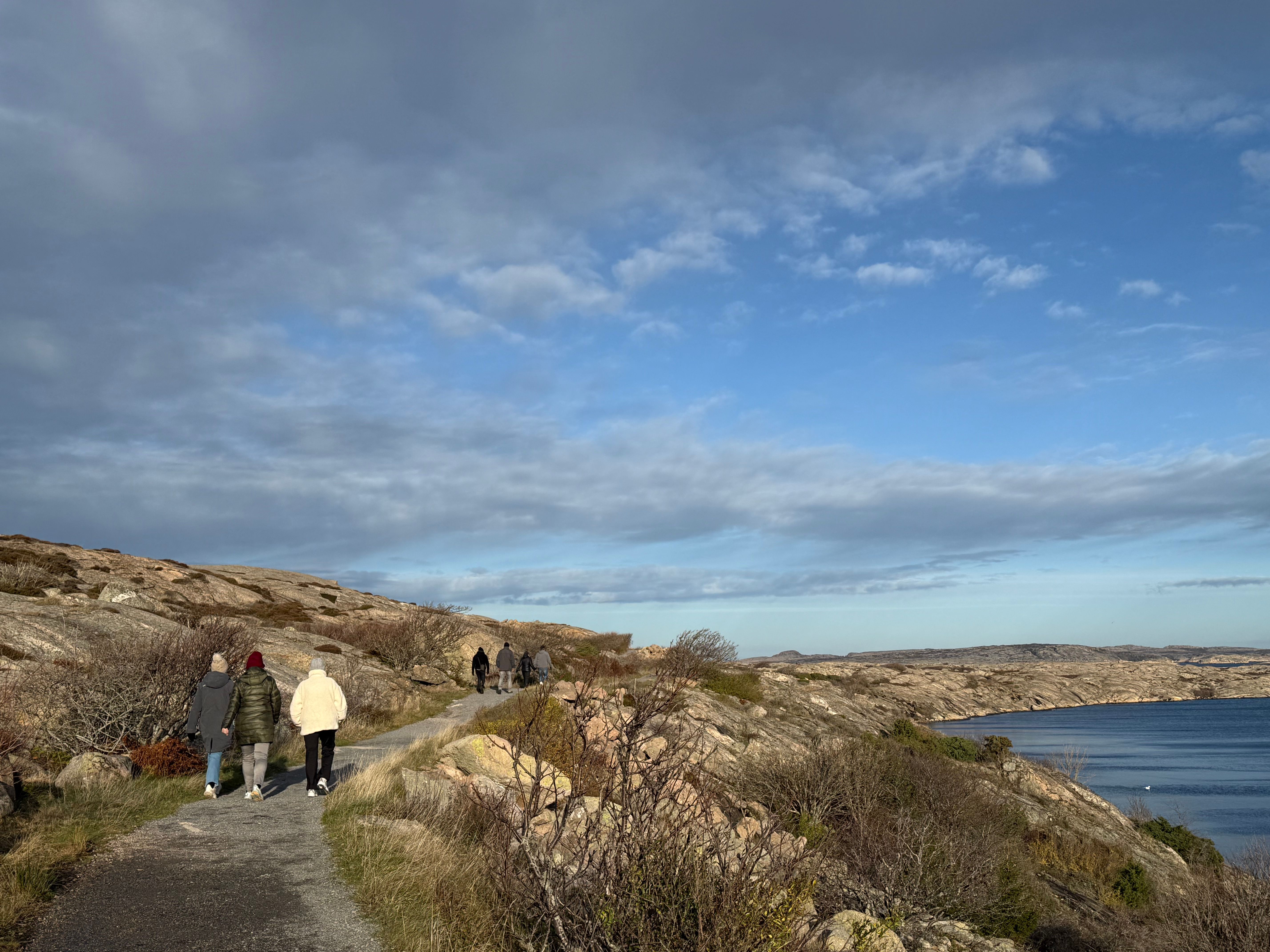 Fin turvei langs vannet