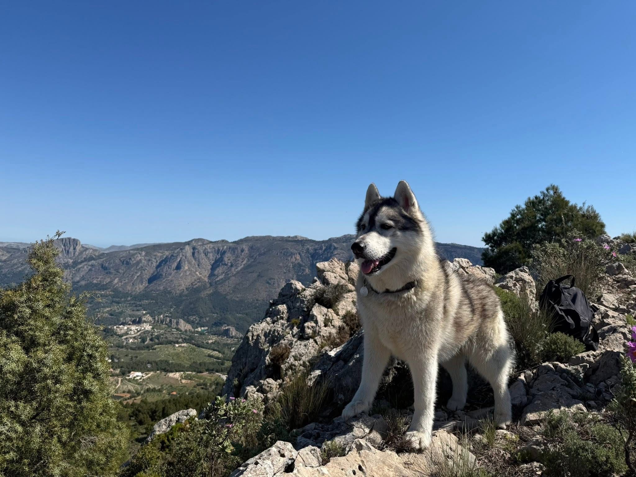 Denne karen var også med på fjelltur