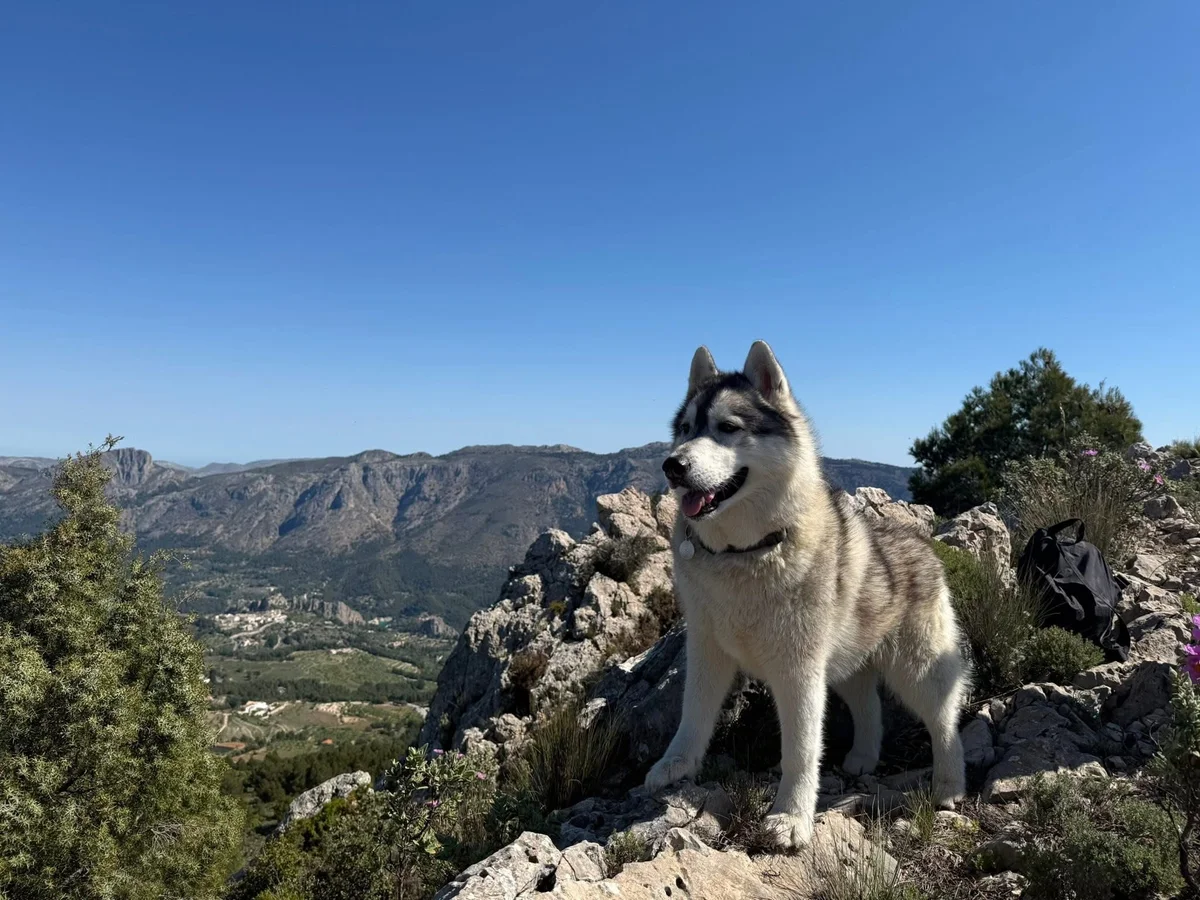 Denne karen var også med på fjelltur