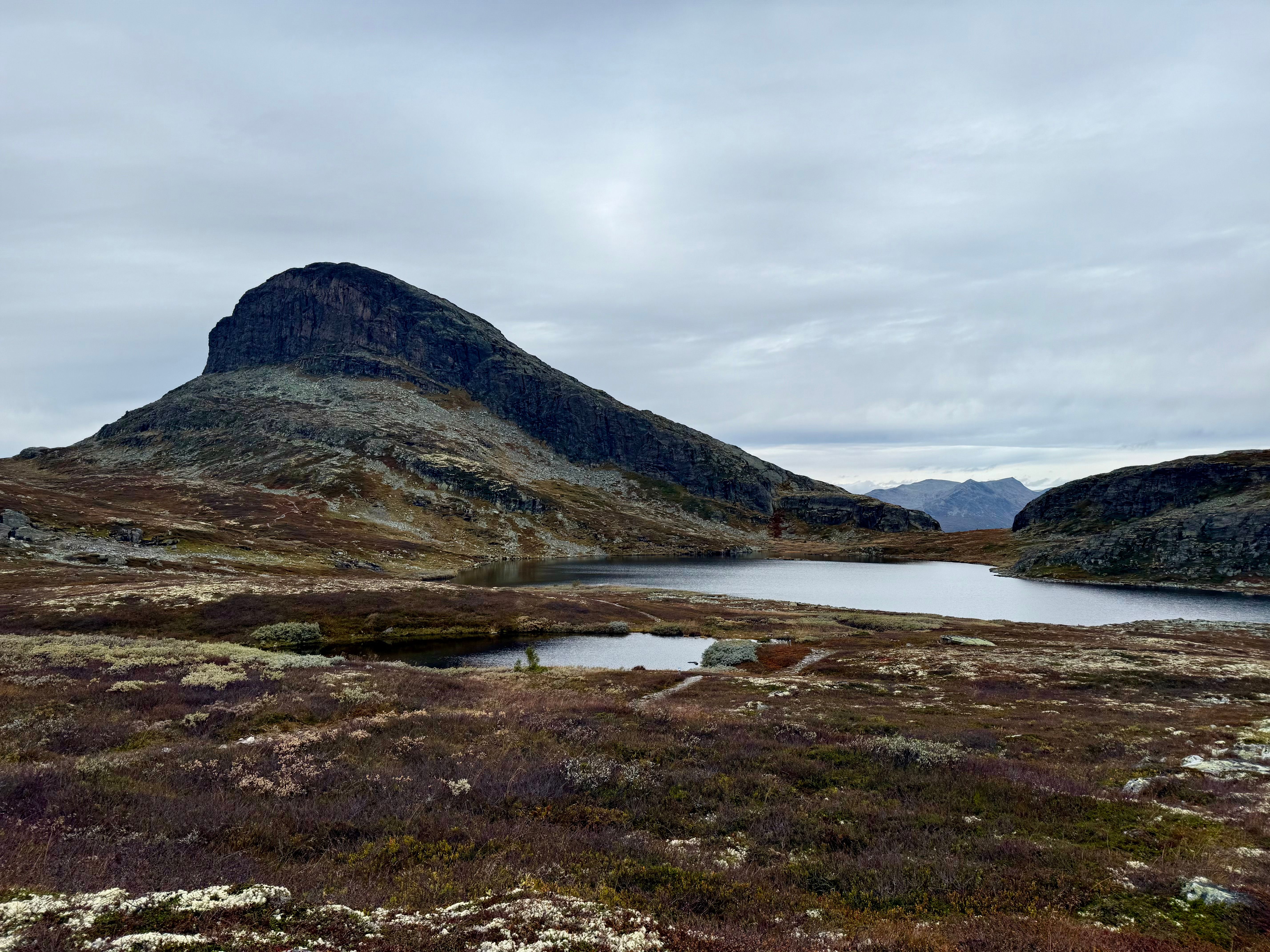 Storehødn til venstre