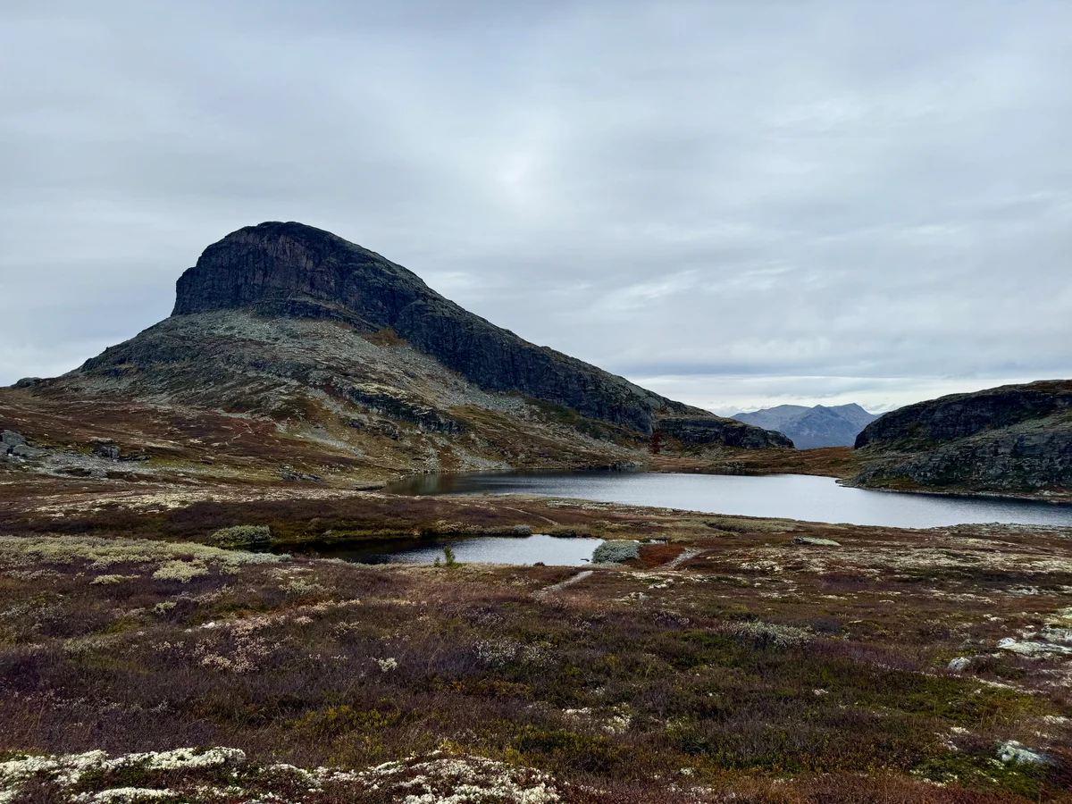 Storehødn til venstre