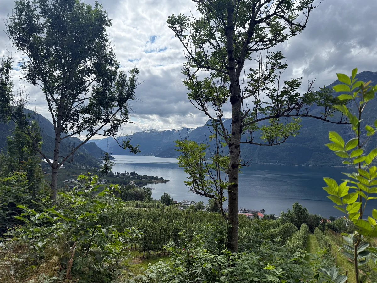 Flott utsikt på vei ned også