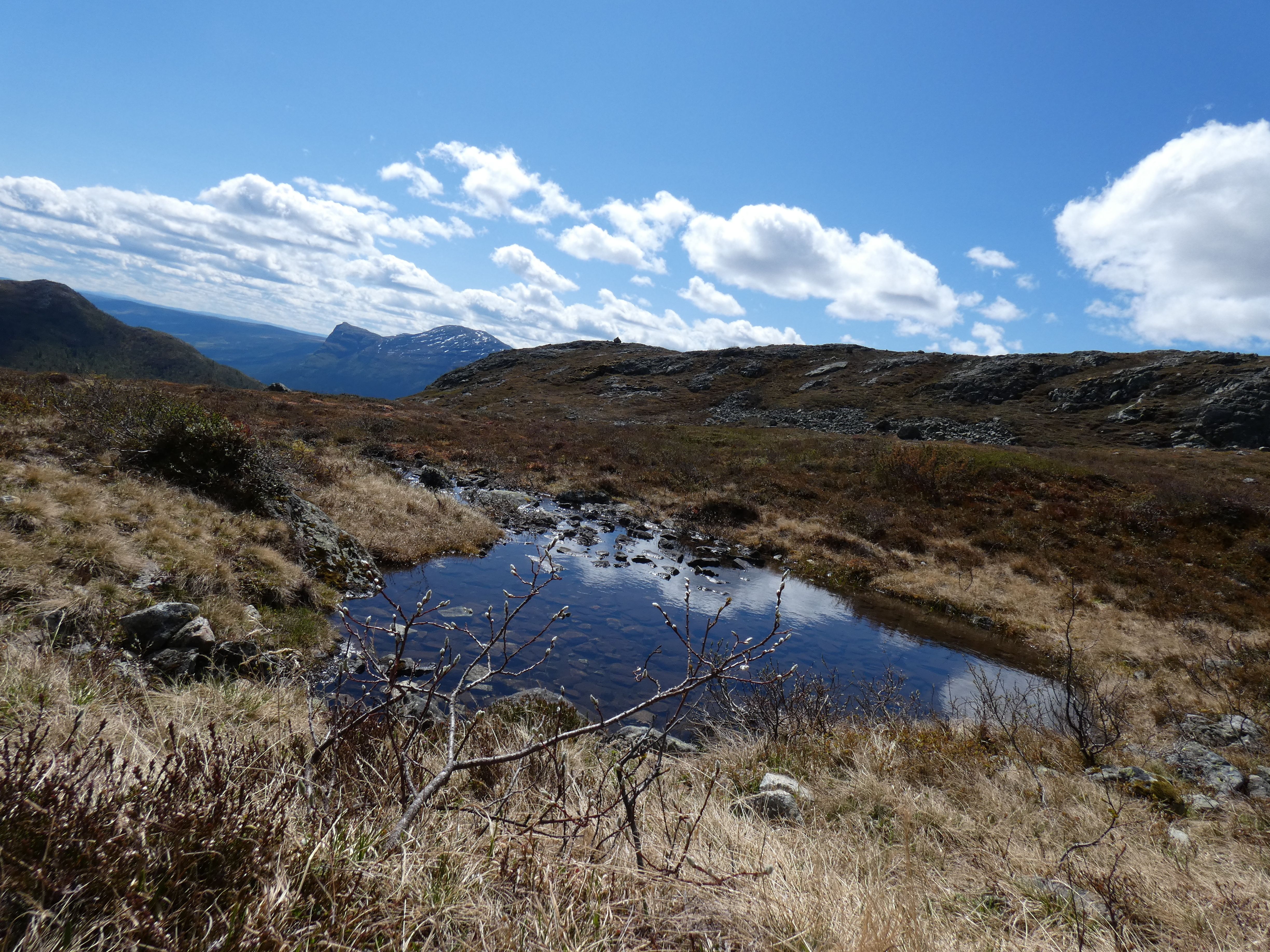 Fjelltur i Hemsedal!