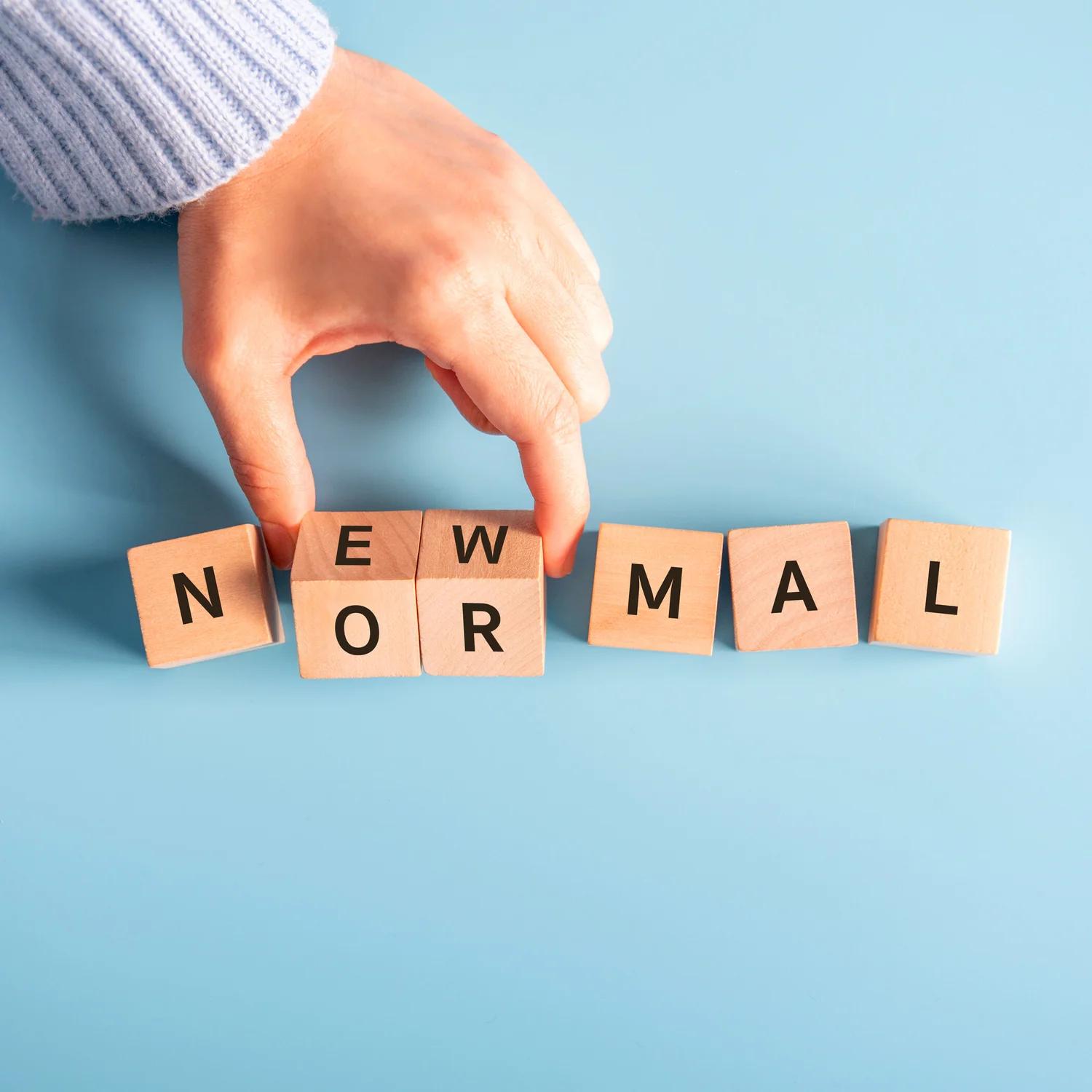 The New Normal — cover