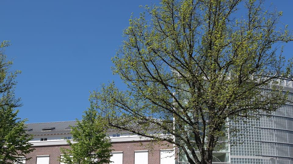 Kamerlingh Onnes Building, Leiden Law School
