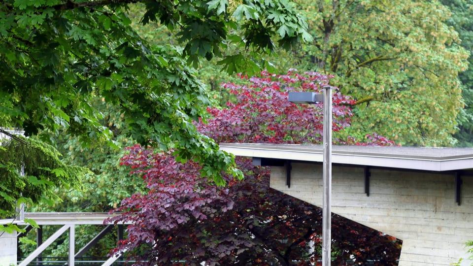 Lewis & Clark Law School, Portland, Oregon