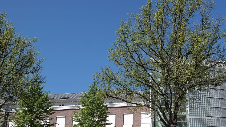 Kamerlingh Onnes Building, Leiden University