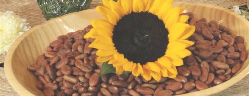 Girasol sobre granos de cacao en un cuenco de madera, preparado para una ceremonia