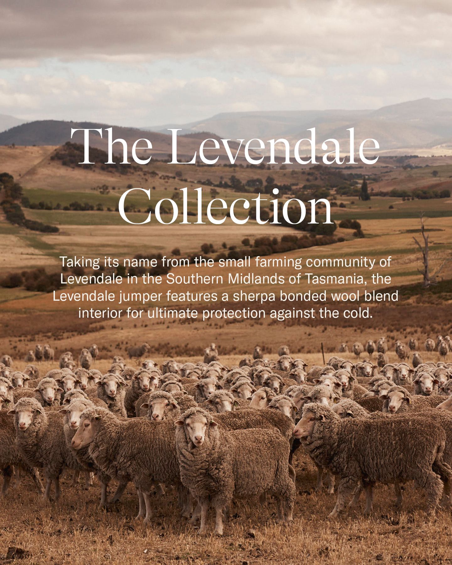 New Arrivals | The Levendale Collection

Our bestselling Levendale collection wil...

In addition to the original half zip jumper, by popular demand the Levendale is now also available in a full zip jumper and a vest.

Shop via the link in bio.

#RBSellars