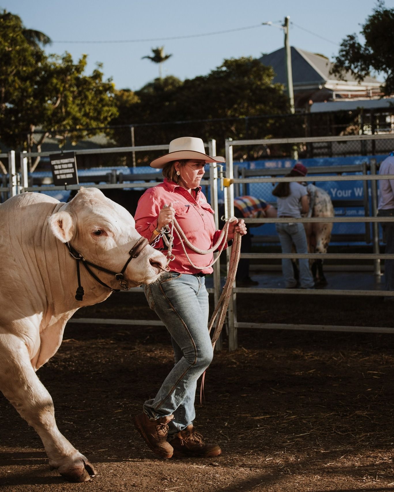 Best of Beef24. All of the action was ag...

Images: @bushjournal

#RBSellars #Beef24 #Beef2024