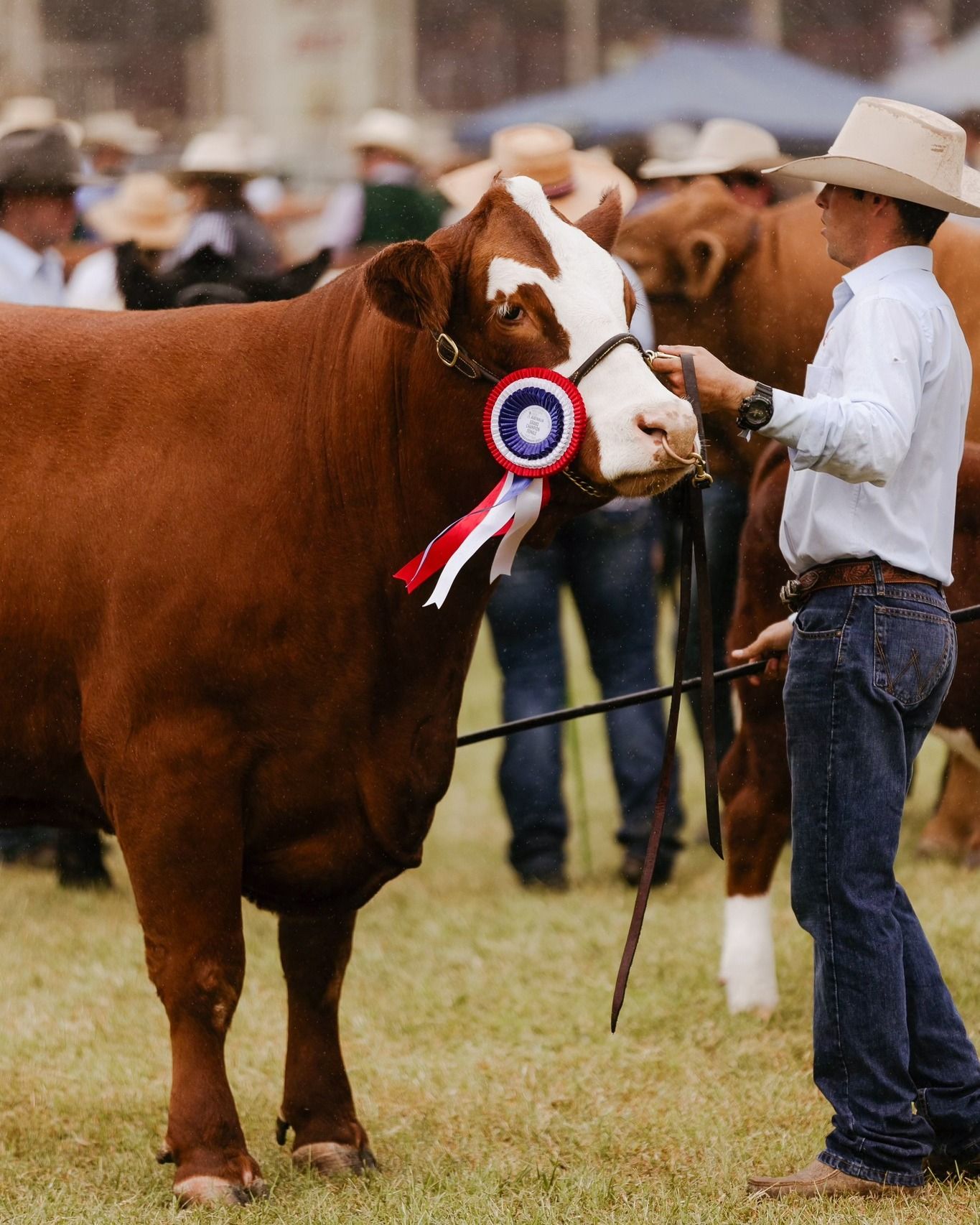 Best of Beef24. It may have rained on th...

Images: @bushjournal

#RBSellars #Beef24 #Beef2024