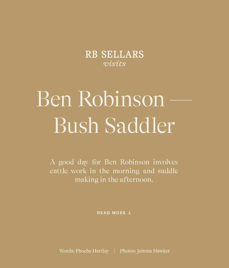 Bush Saddler