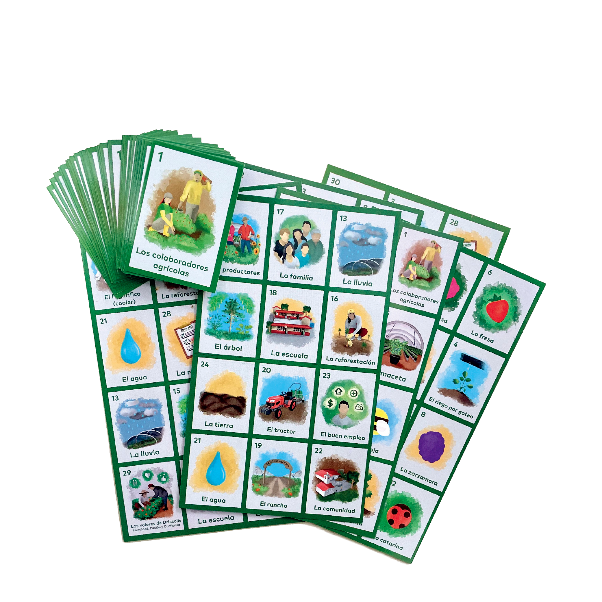 Juego de lotería con arte grafico desarrollado 