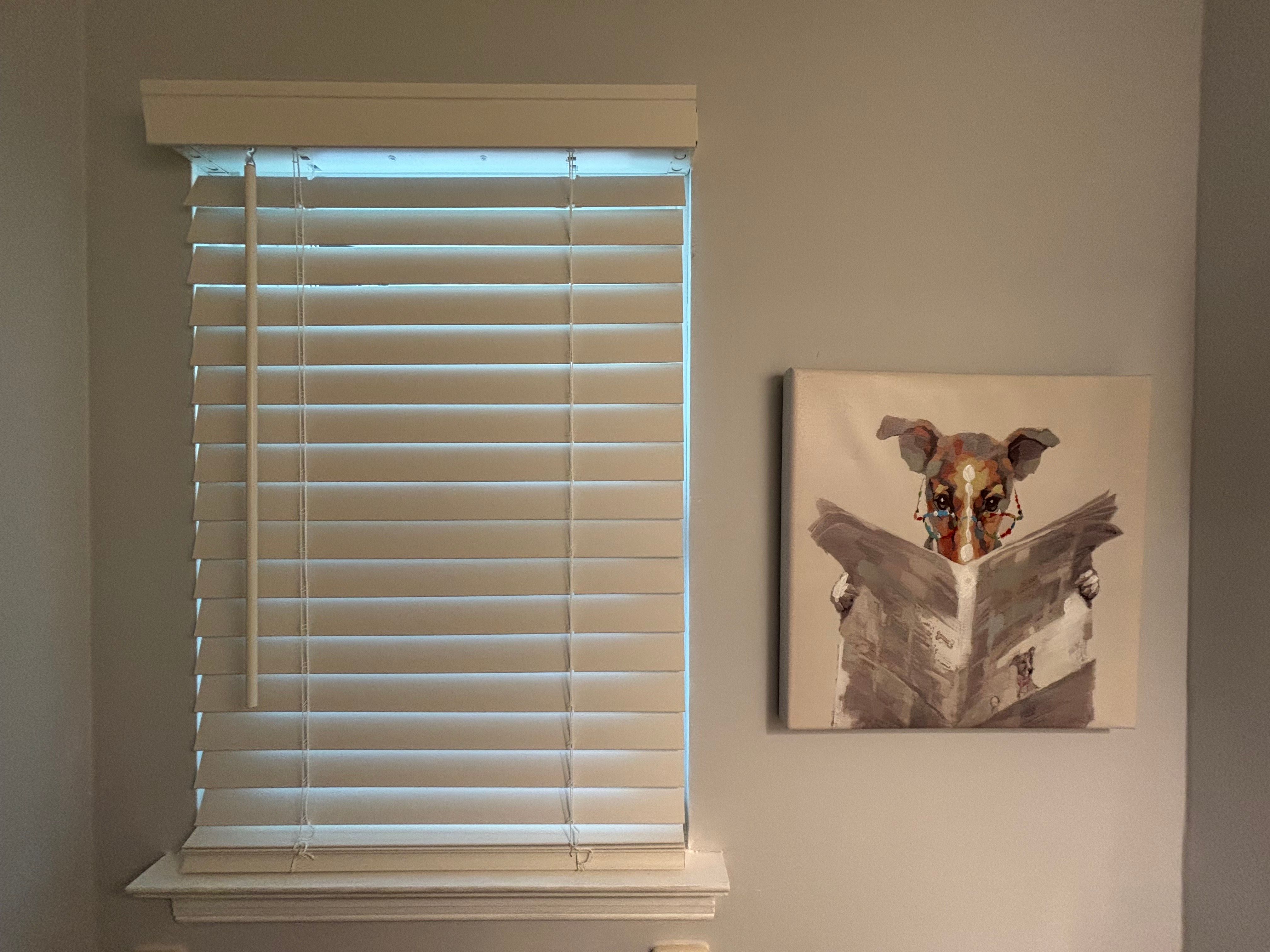 faux-wood-blinds installed in 18966