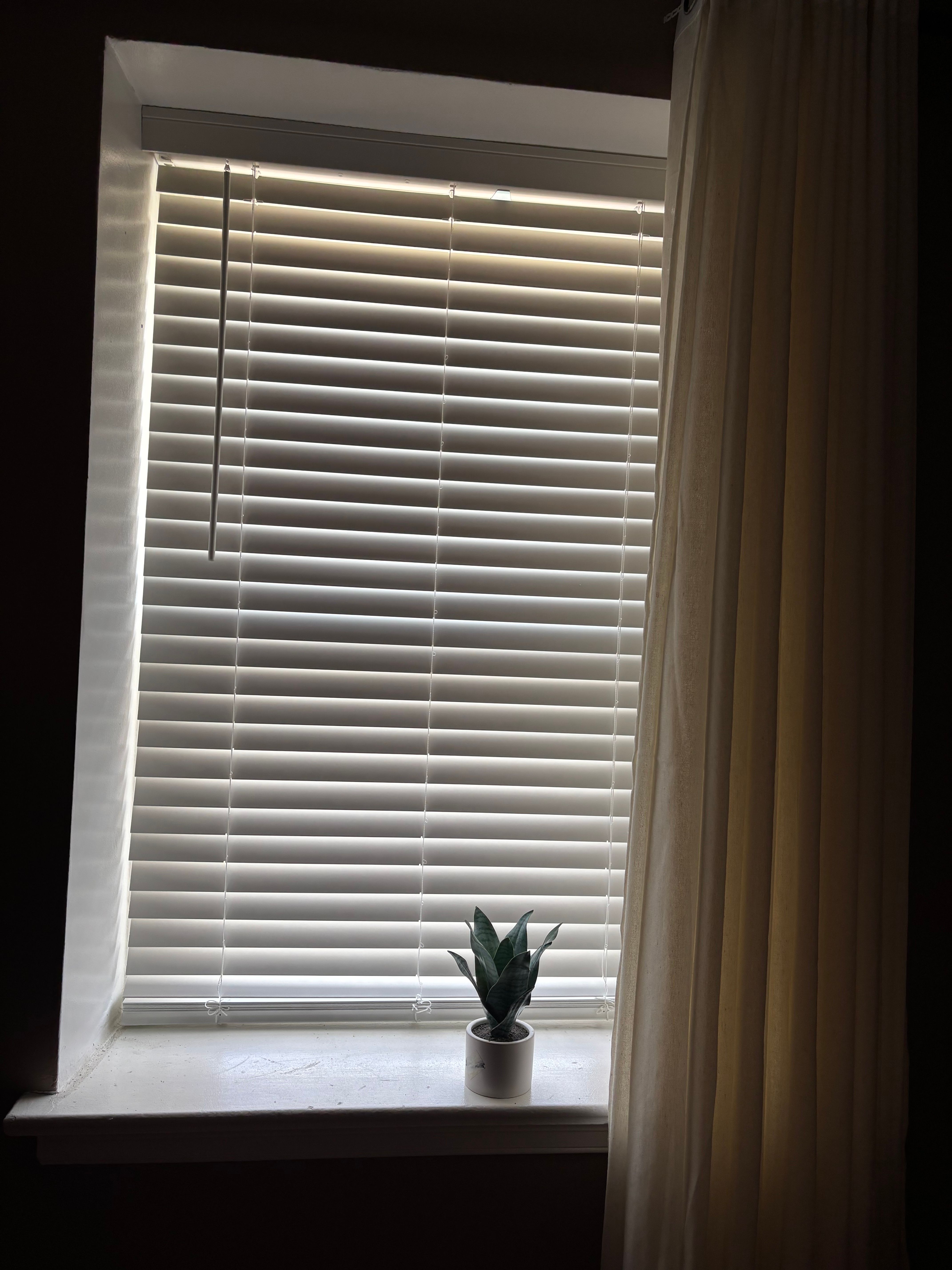 faux-wood-blinds installed in 19149