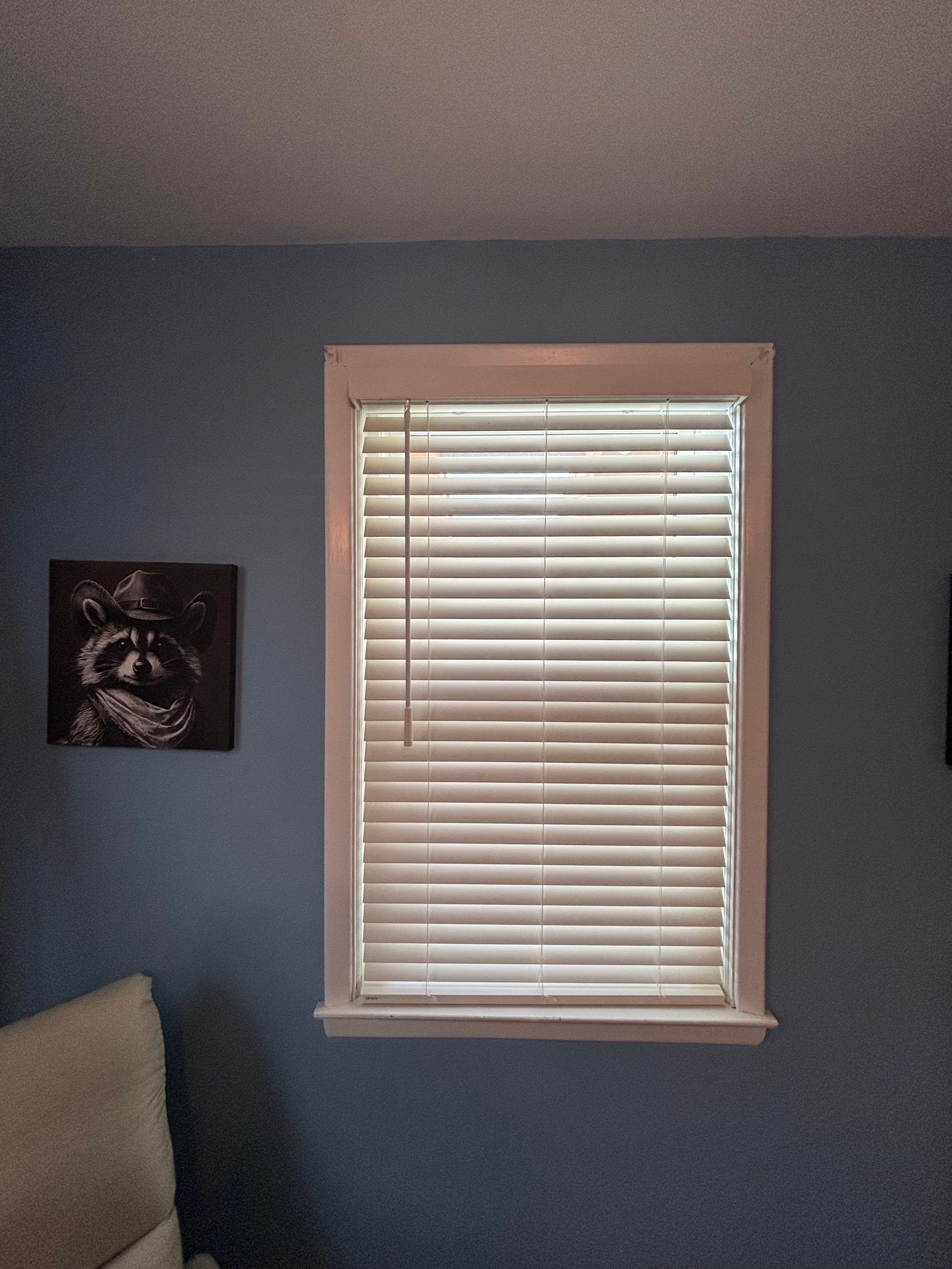 Installation photo for Faux Wood Installation 19111