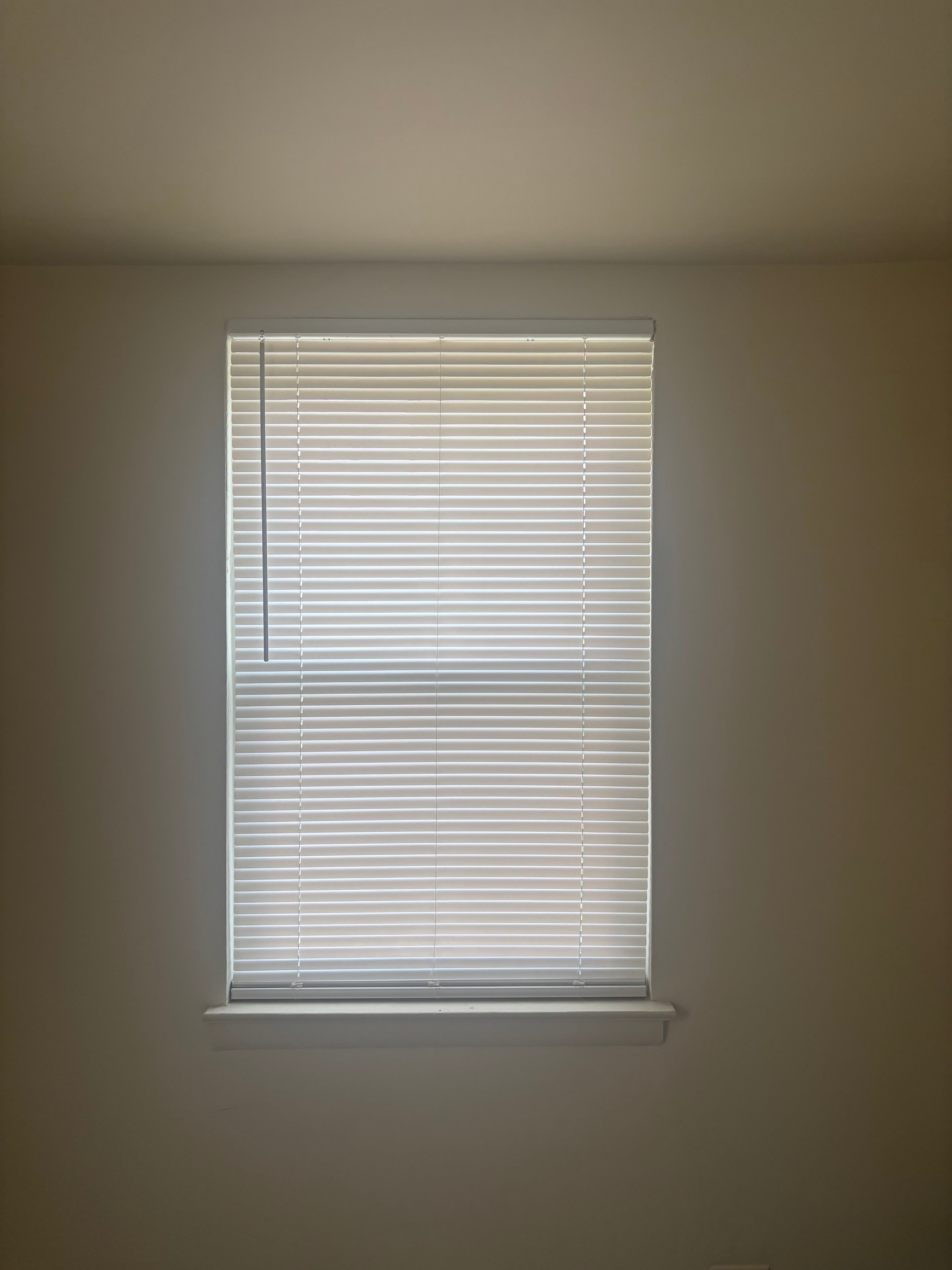 Installation photo for Mini blinds Installation 19075