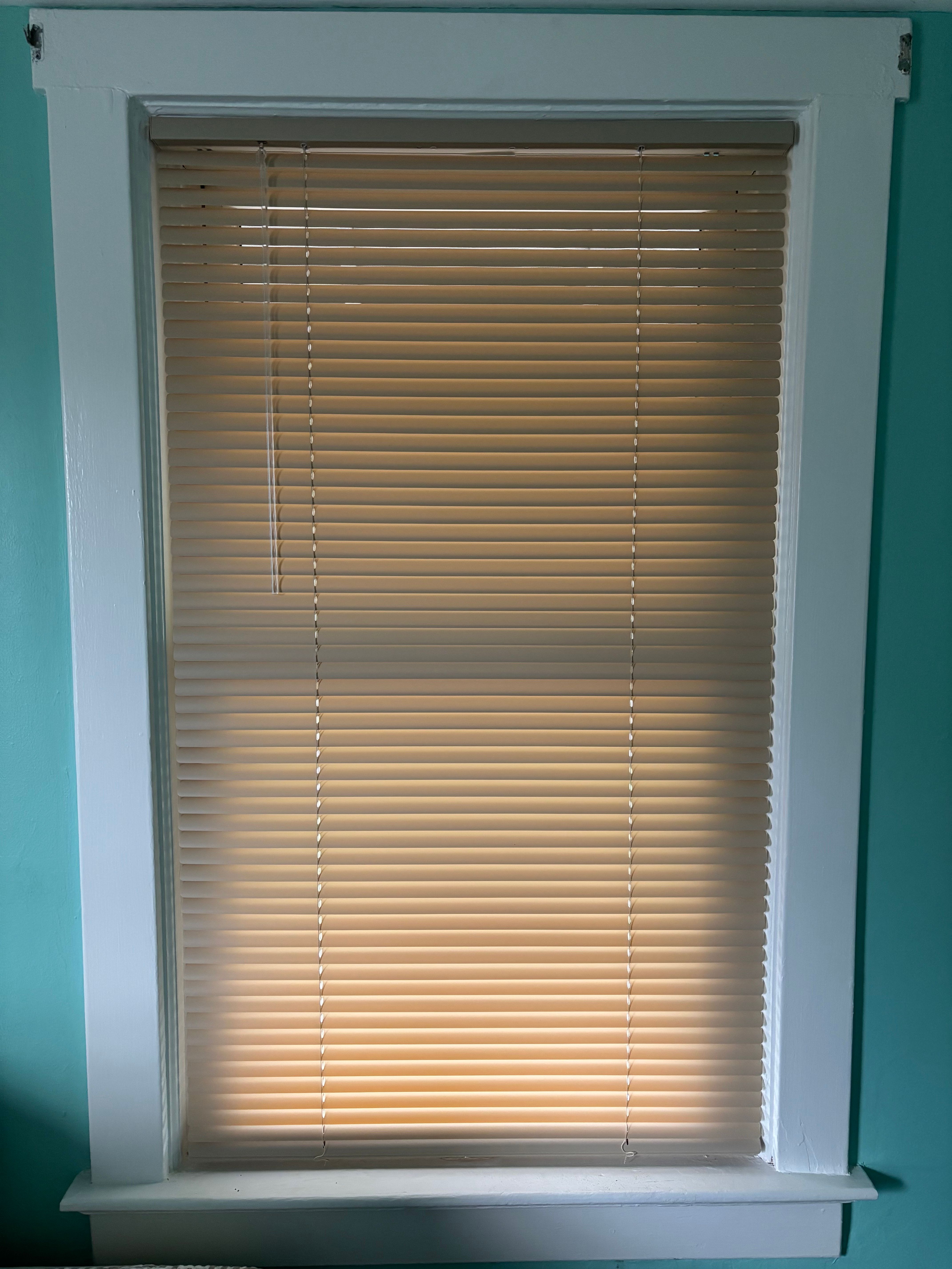 Mini Blind installed in 19054