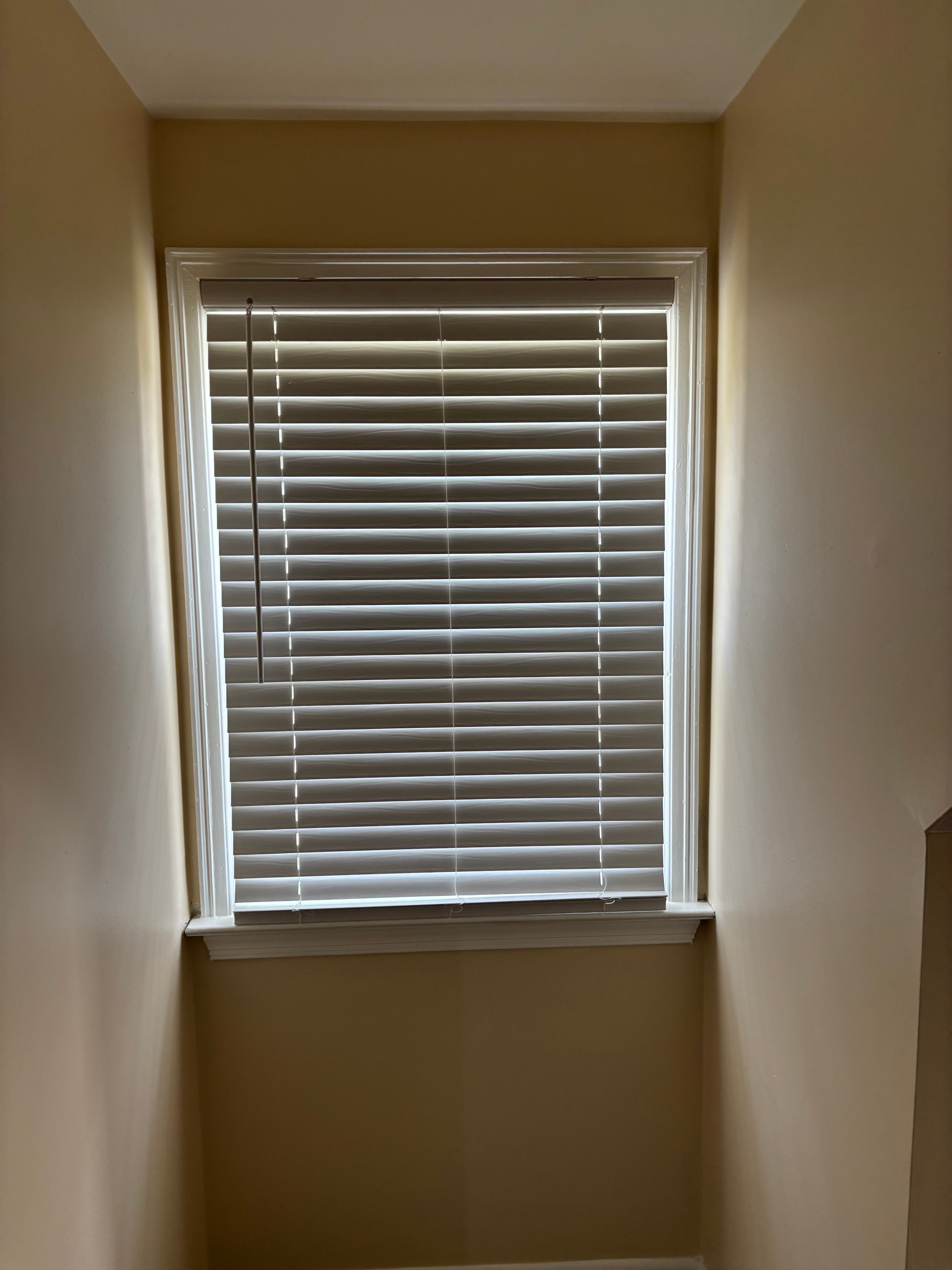 Faux Wood installed in 19136