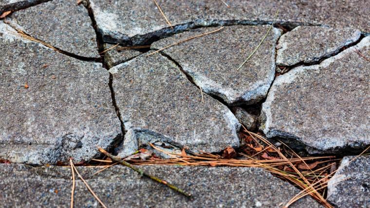Close-up of a concrete slab broken and heaved into tilted plates with open gaps between them, pine needles and fallen leaves caught in the cracks, an intact panel alongside