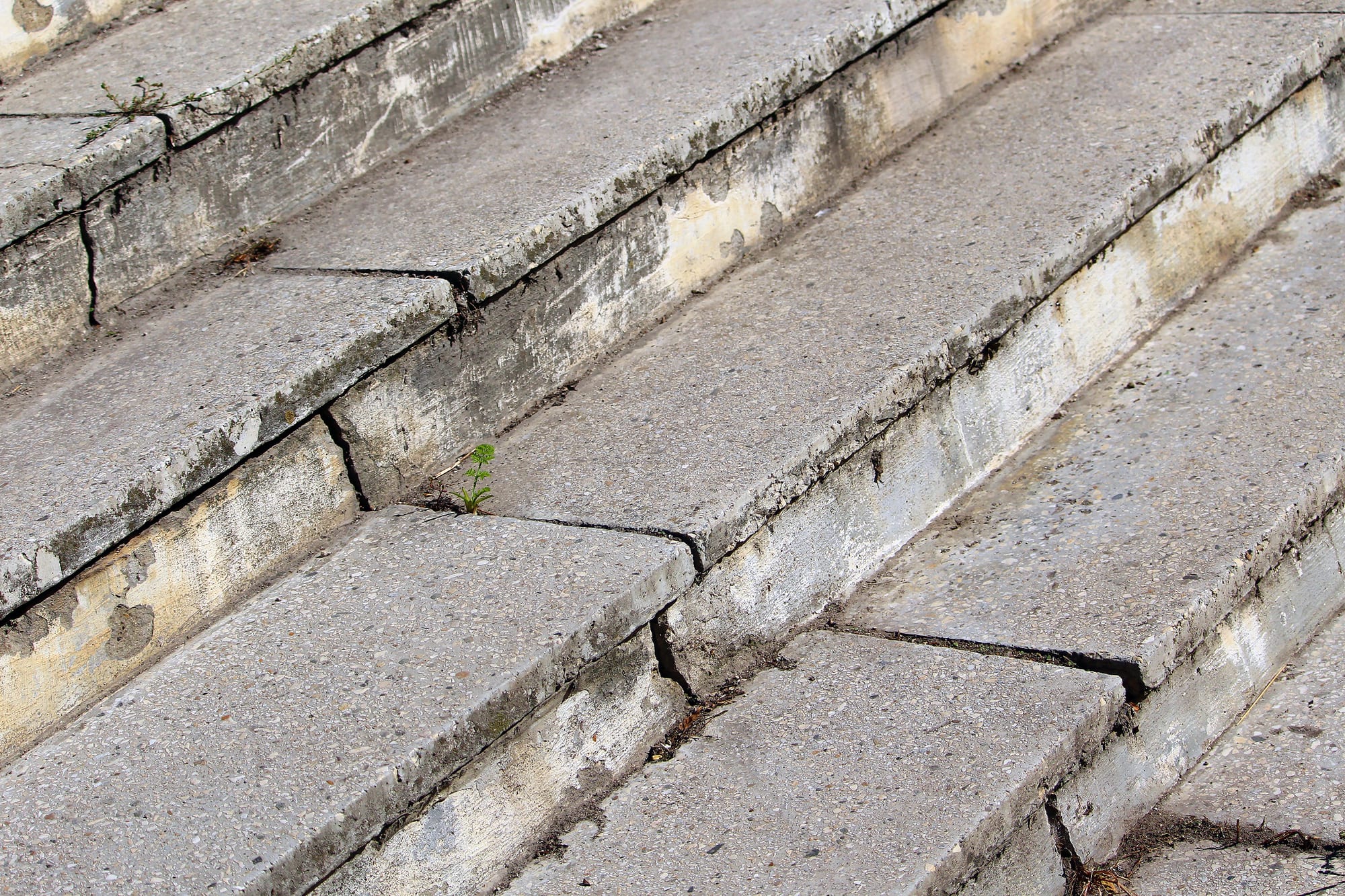 Wide concrete steps that have cracked and settled, one slab dropped below its neighbour leaving an open gap with a seedling growing through
