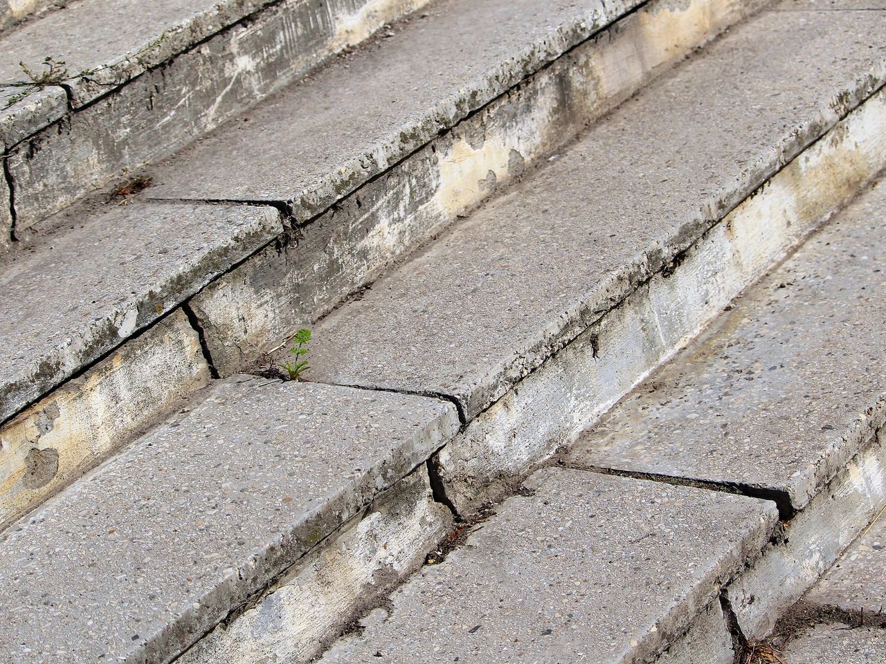 Wide concrete steps that have cracked and settled, one slab dropped below its neighbour leaving an open gap with a seedling growing through