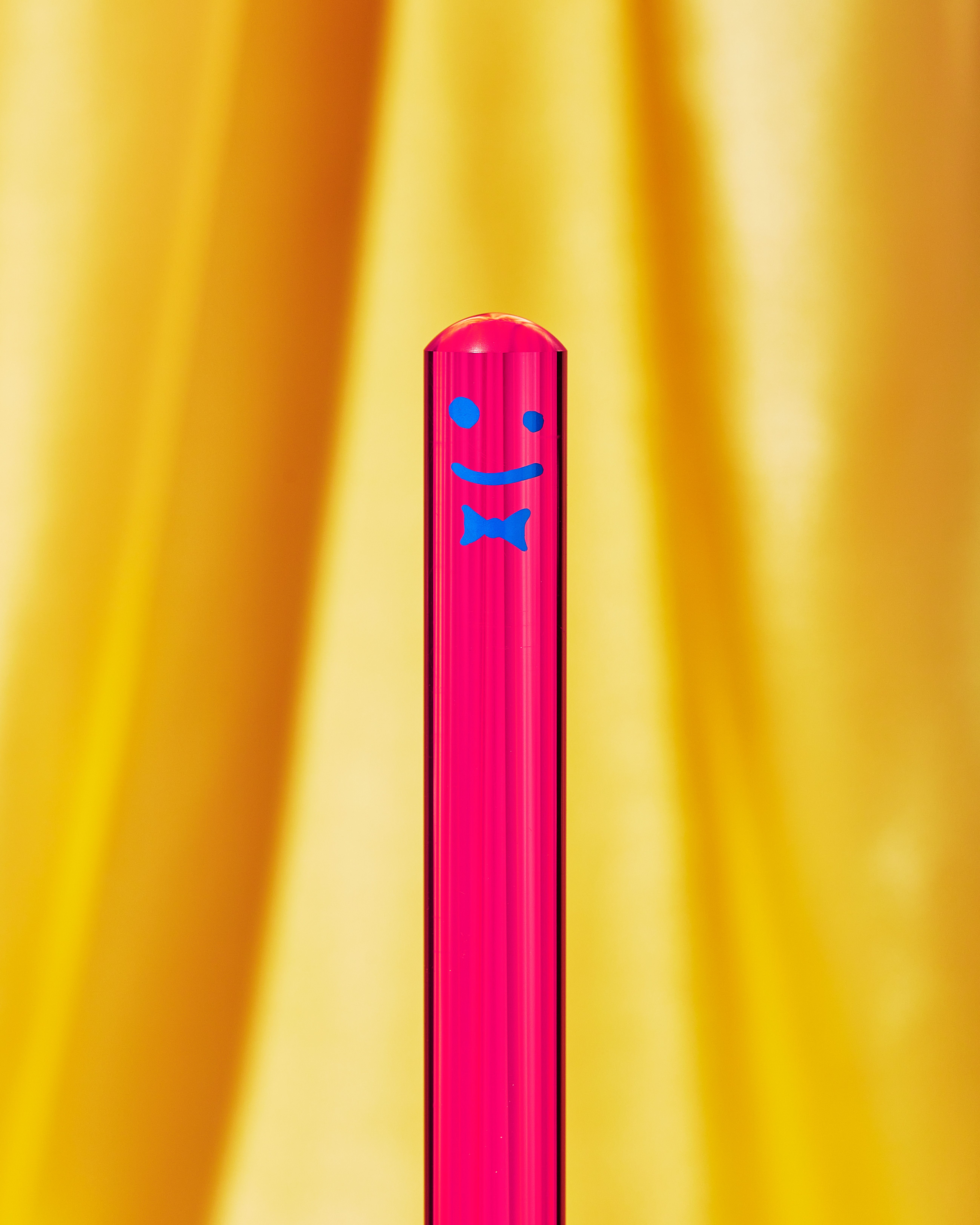 The Toilet Brush_Pink_Face