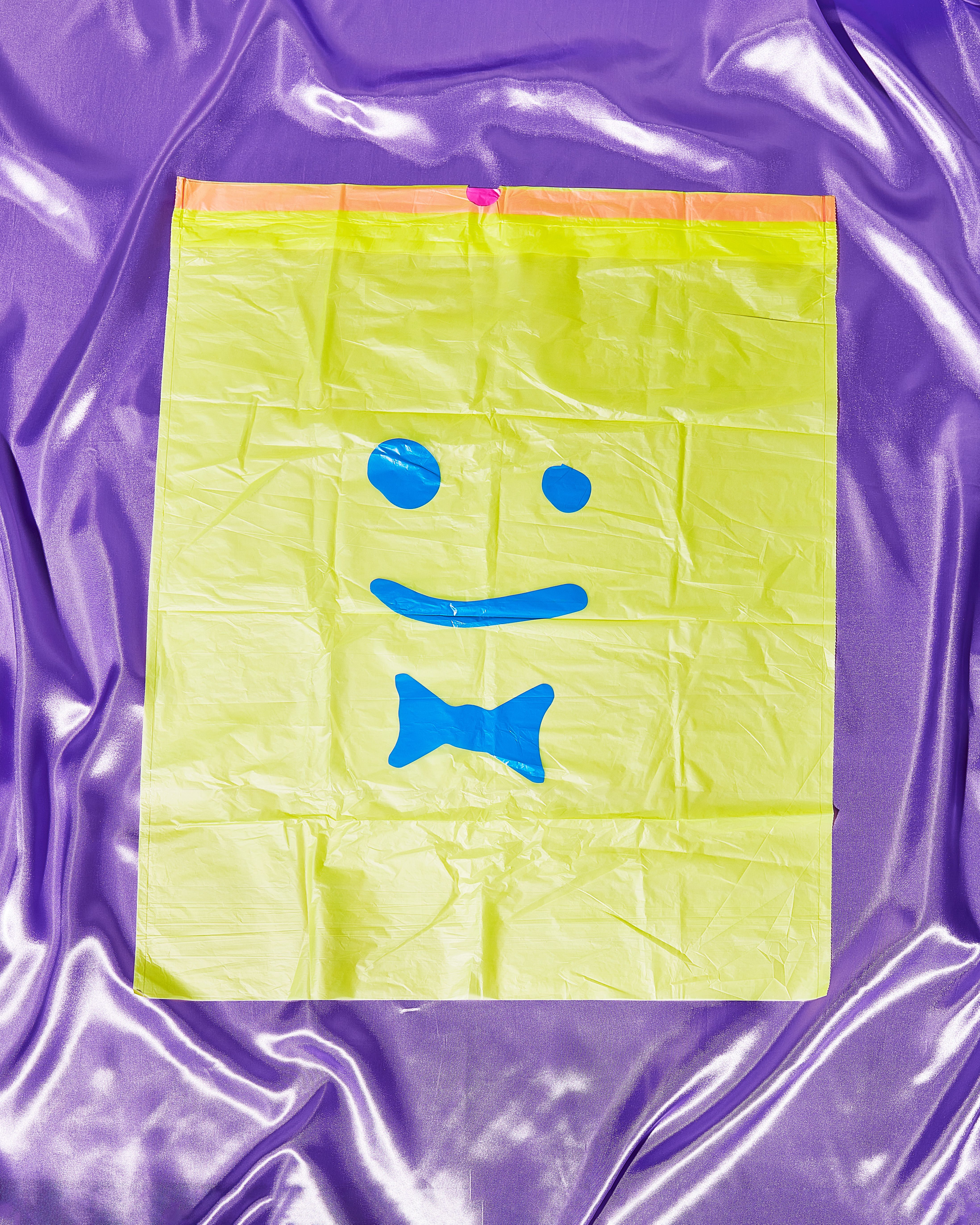 The Garbage Bag_Flat